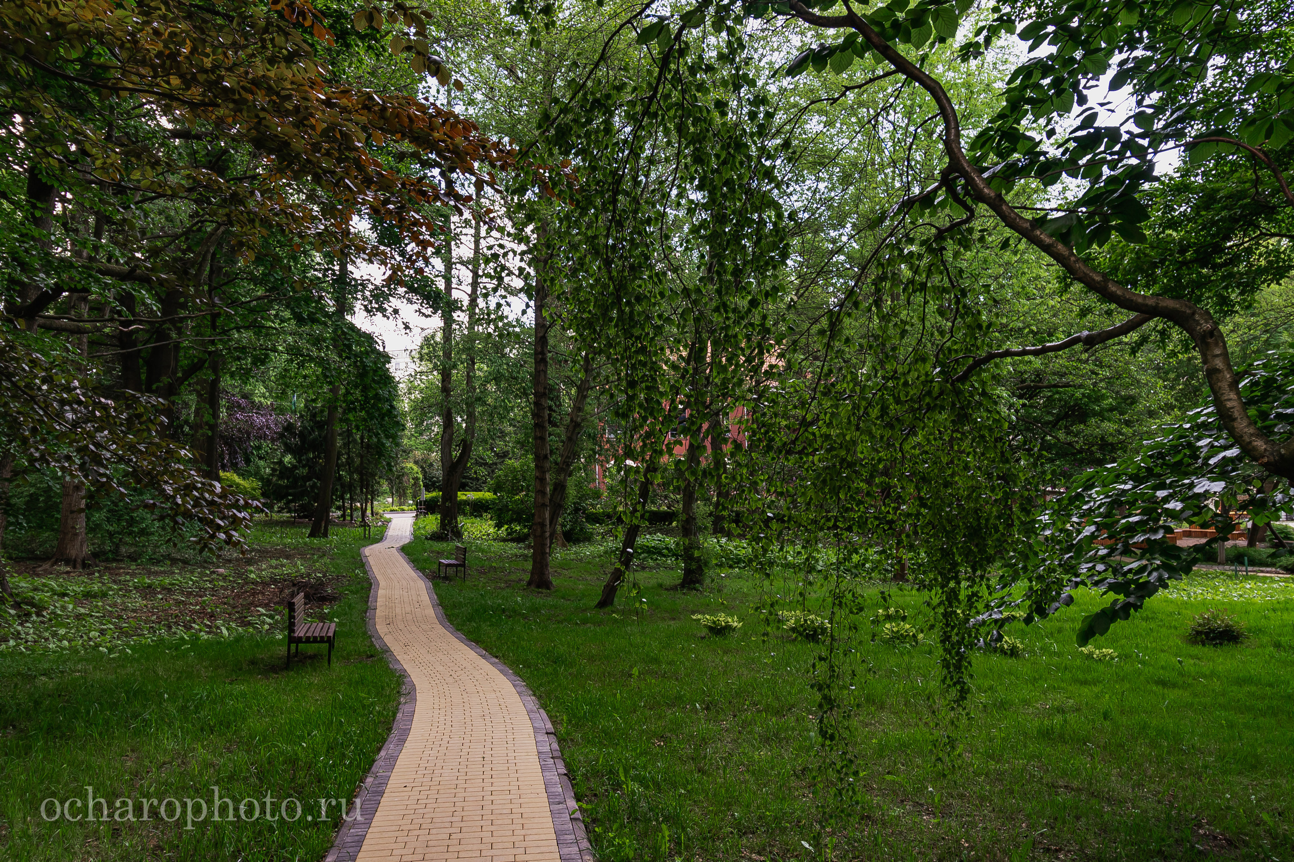 Ландшафтный парк Калининграда. AI-контент (генерации ИИ-фото и видео), стоковые фотографии Калининградской области