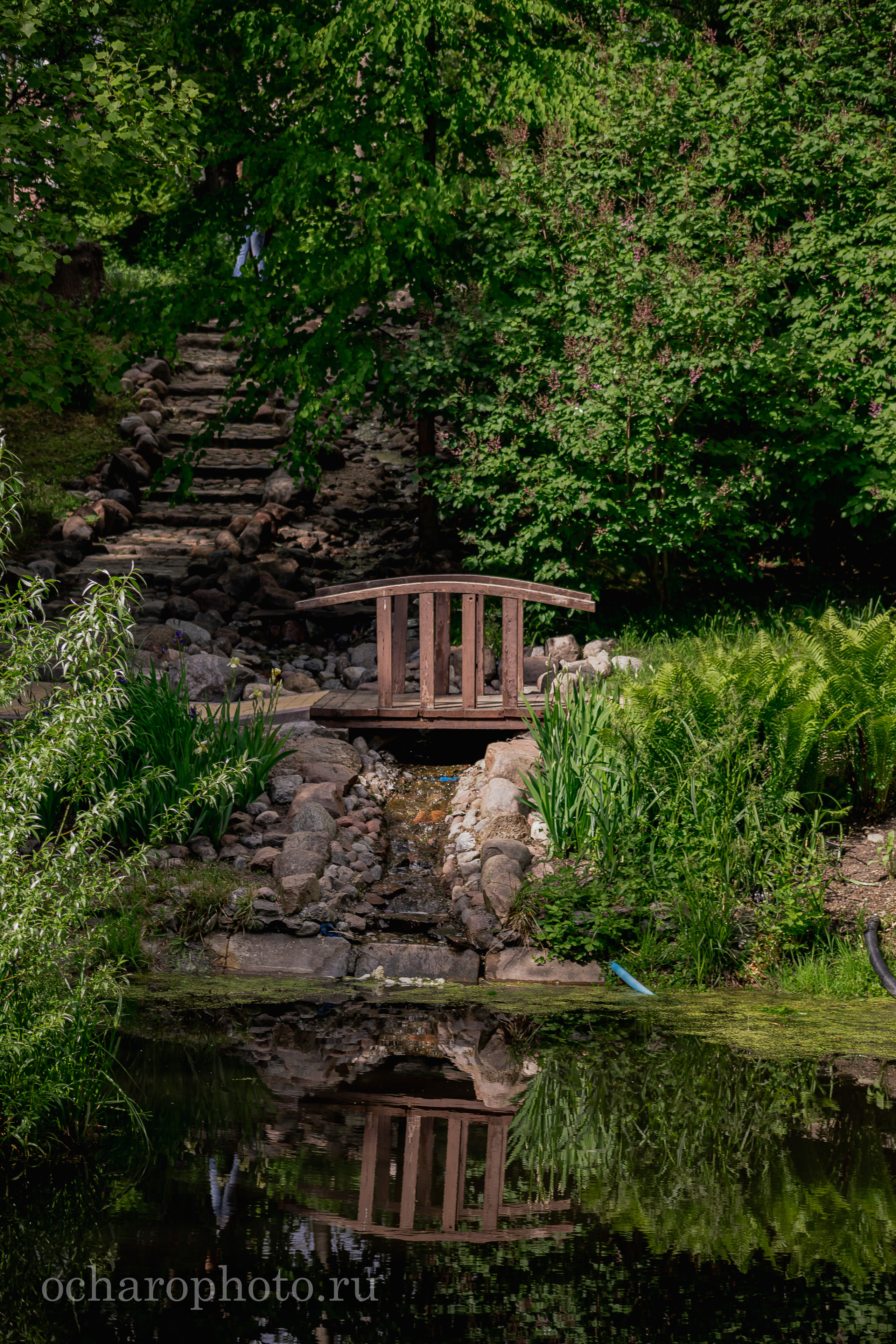 Ландшафтный парк Калининграда. AI-контент (генерации ИИ-фото и видео), стоковые фотографии Калининградской области