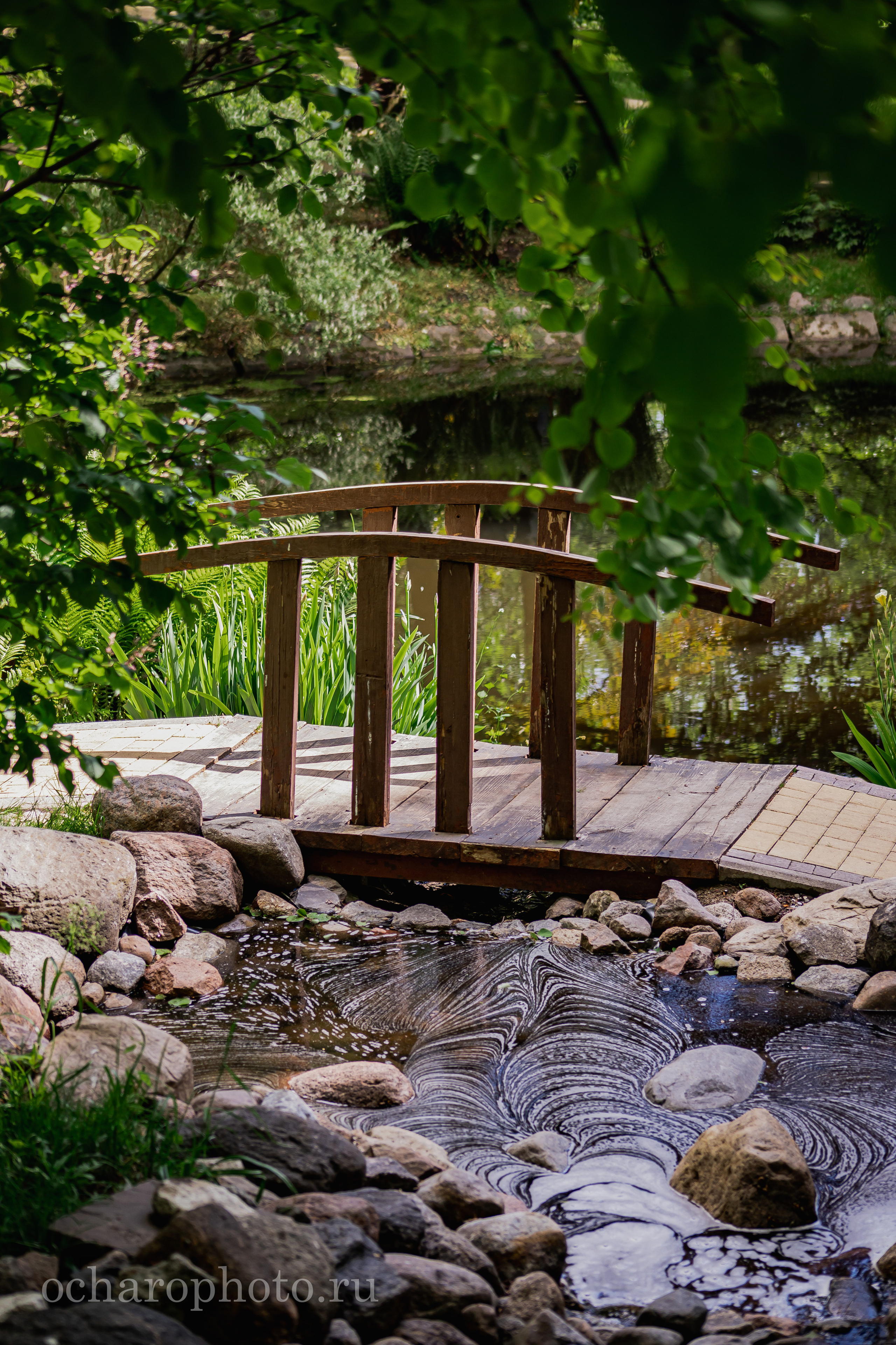 Ландшафтный парк Калининграда. AI-контент (генерации ИИ-фото и видео), стоковые фотографии Калининградской области