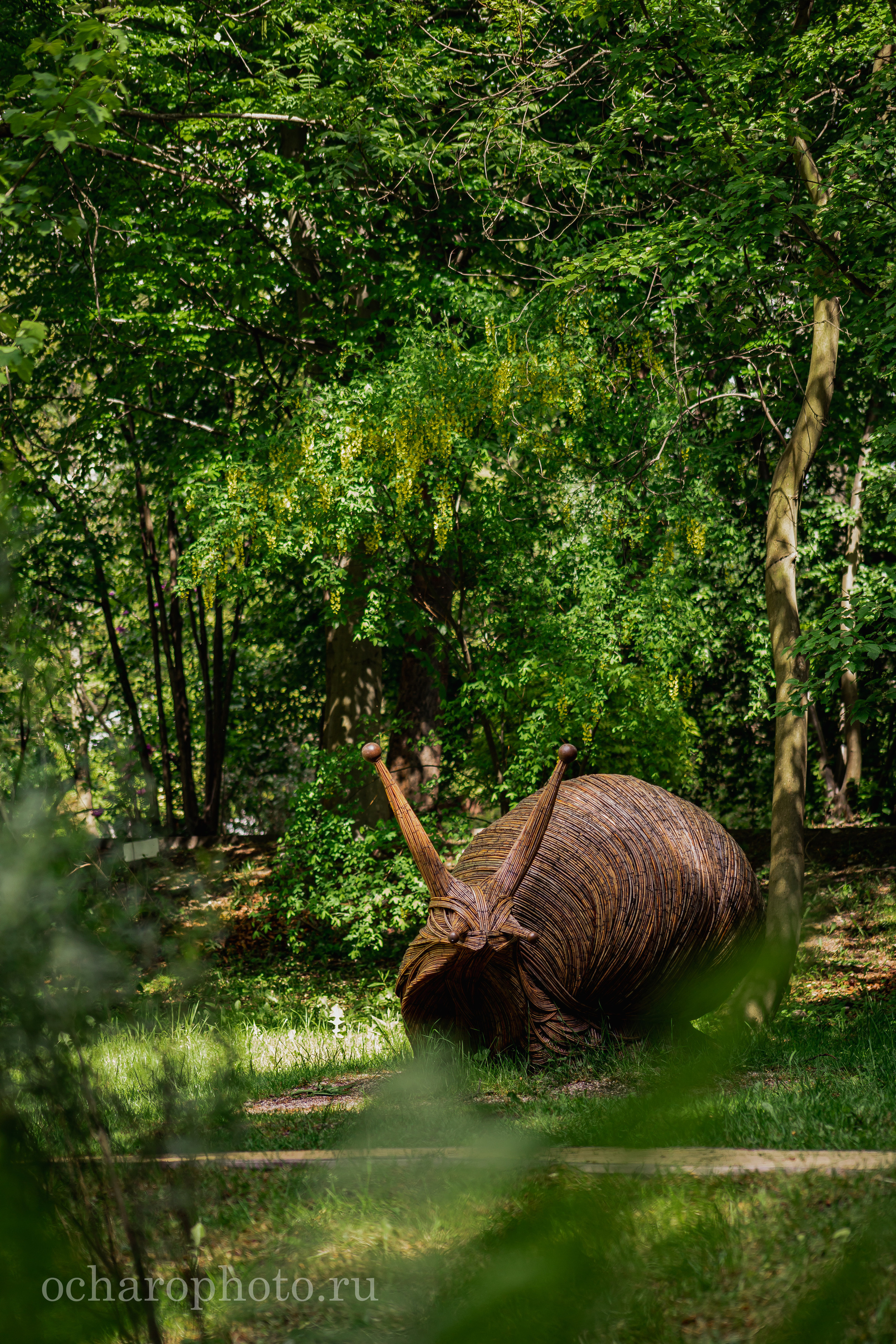 Ландшафтный парк Калининграда. AI-контент (генерации ИИ-фото и видео), стоковые фотографии Калининградской области