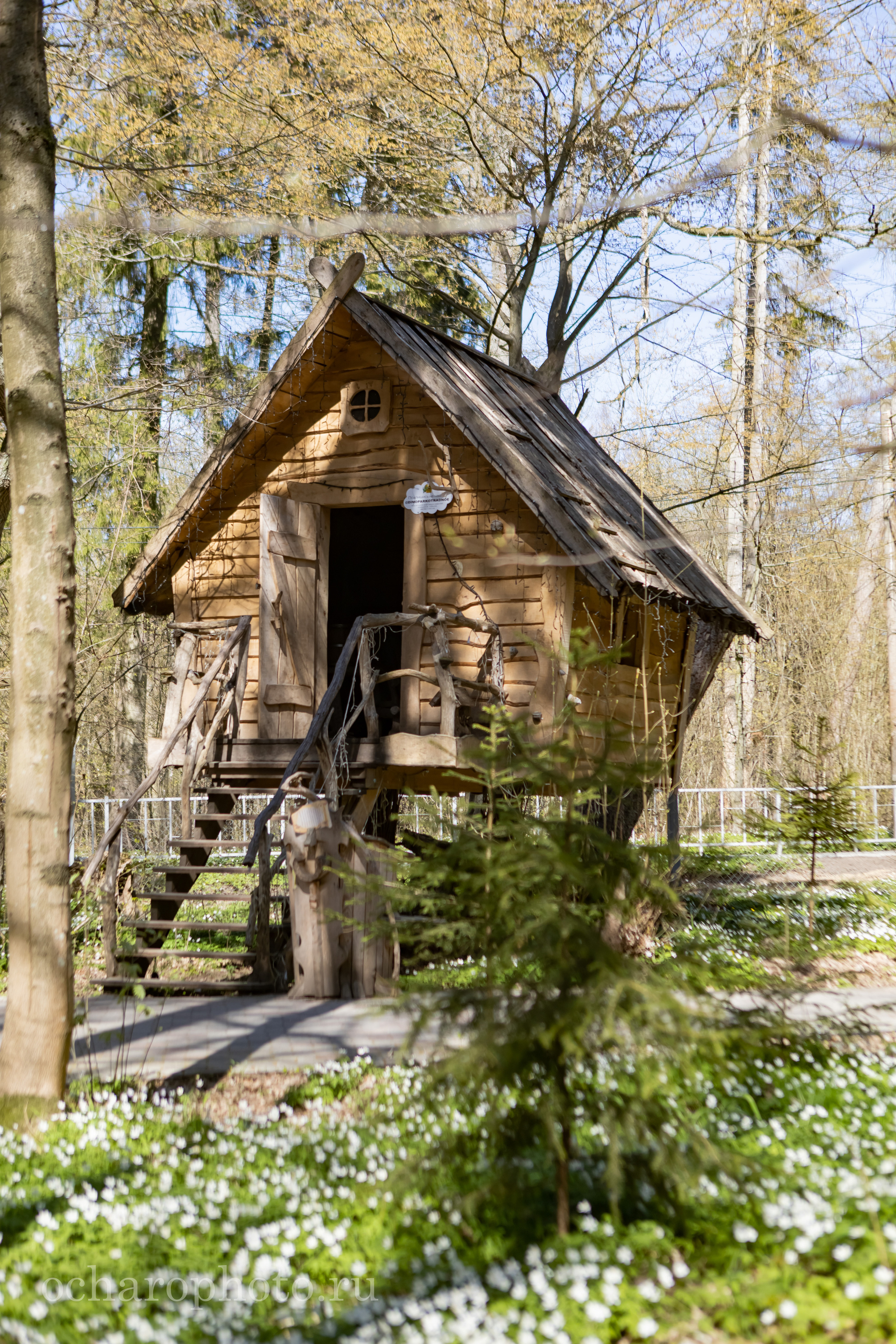 Парк Янтарного периода. AI-контент (генерации ИИ-фото и видео), стоковые фотографии Калининградской области