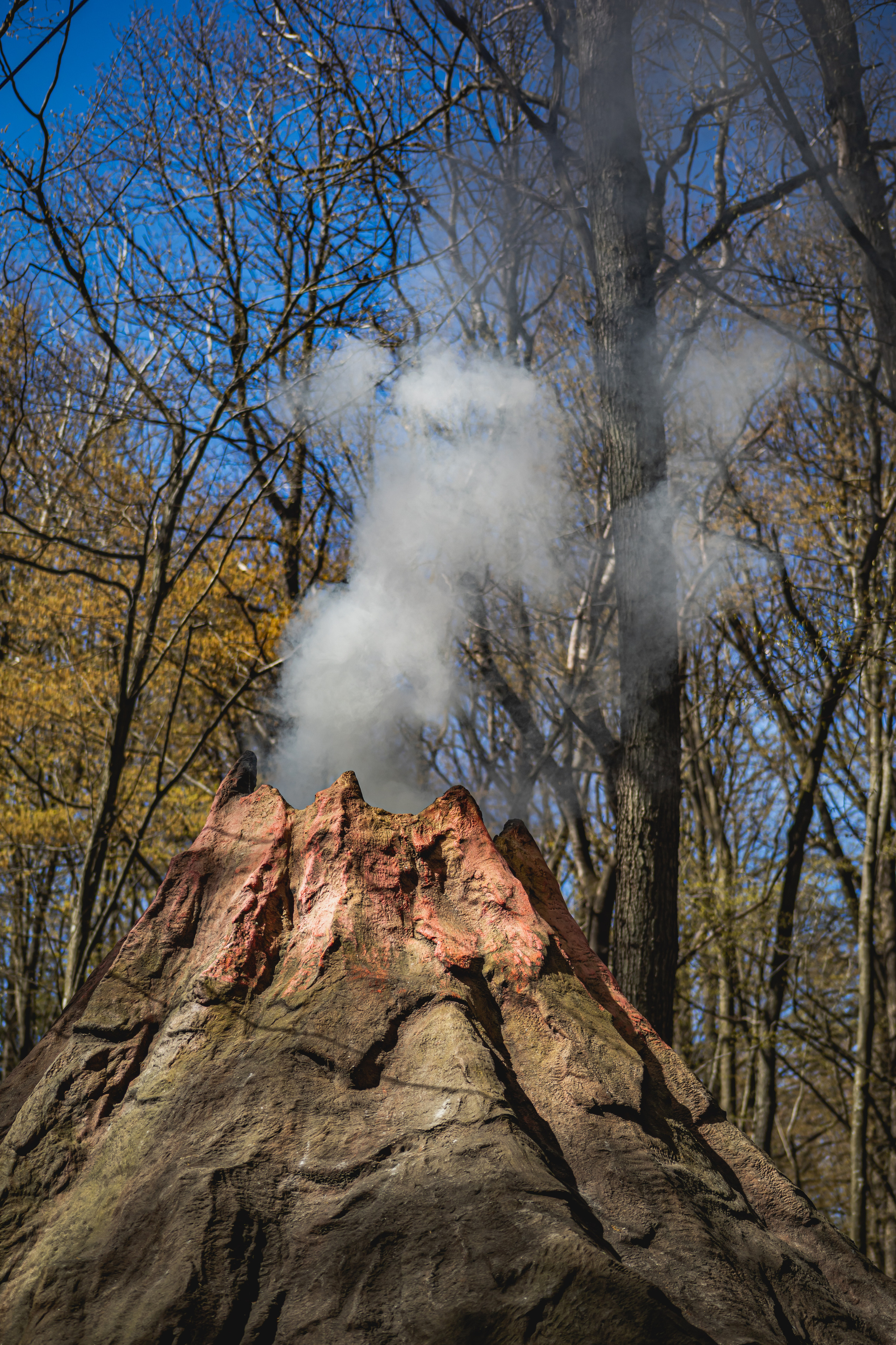 Парк Янтарного периода. AI-контент (генерации ИИ-фото и видео), стоковые фотографии Калининградской области