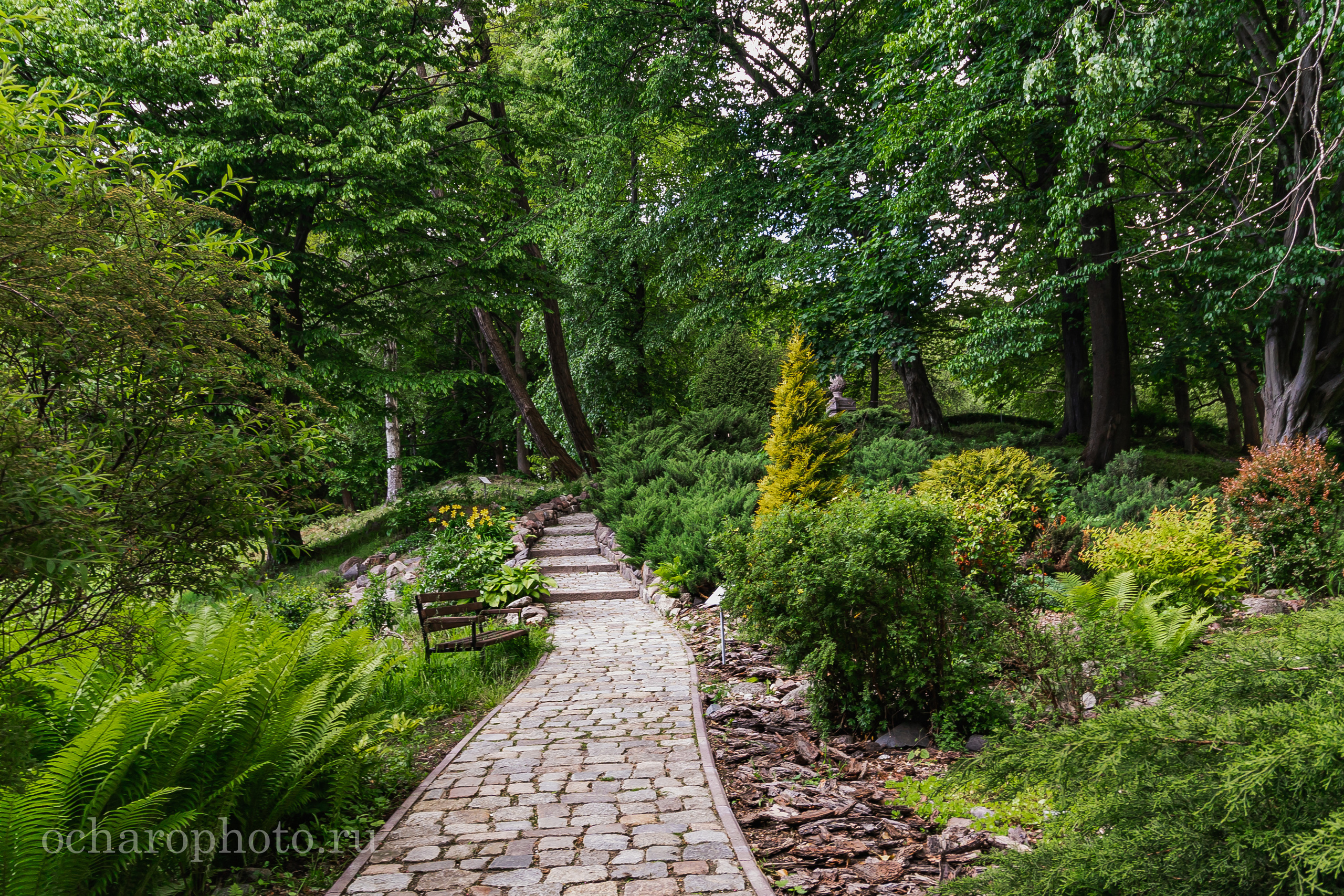 Ландшафтный парк Калининграда. AI-контент (генерации ИИ-фото и видео), стоковые фотографии Калининградской области