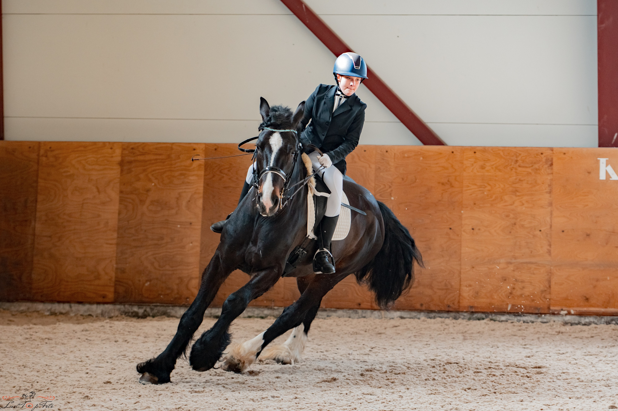 Эквипарк 6 этап Кубка Клубов. Конный и фотограф с животными в Твери Топталова Люся