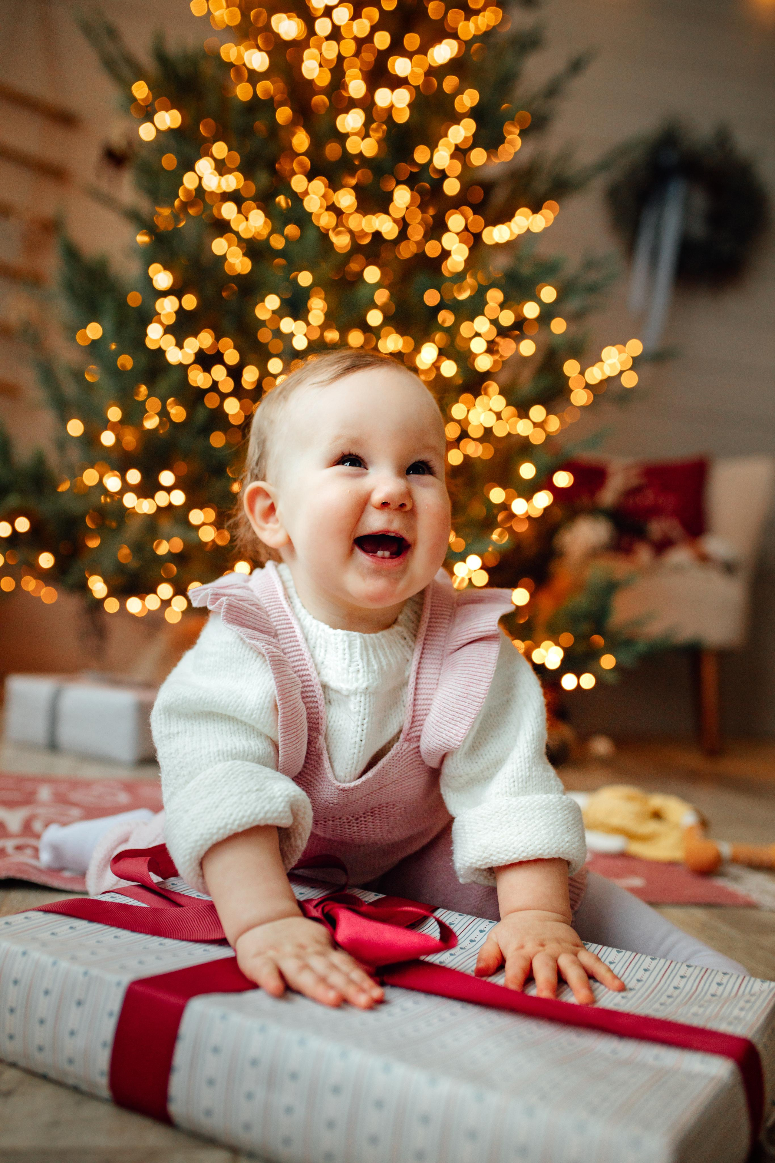 Семейная, Новогодняя Лайтстудия