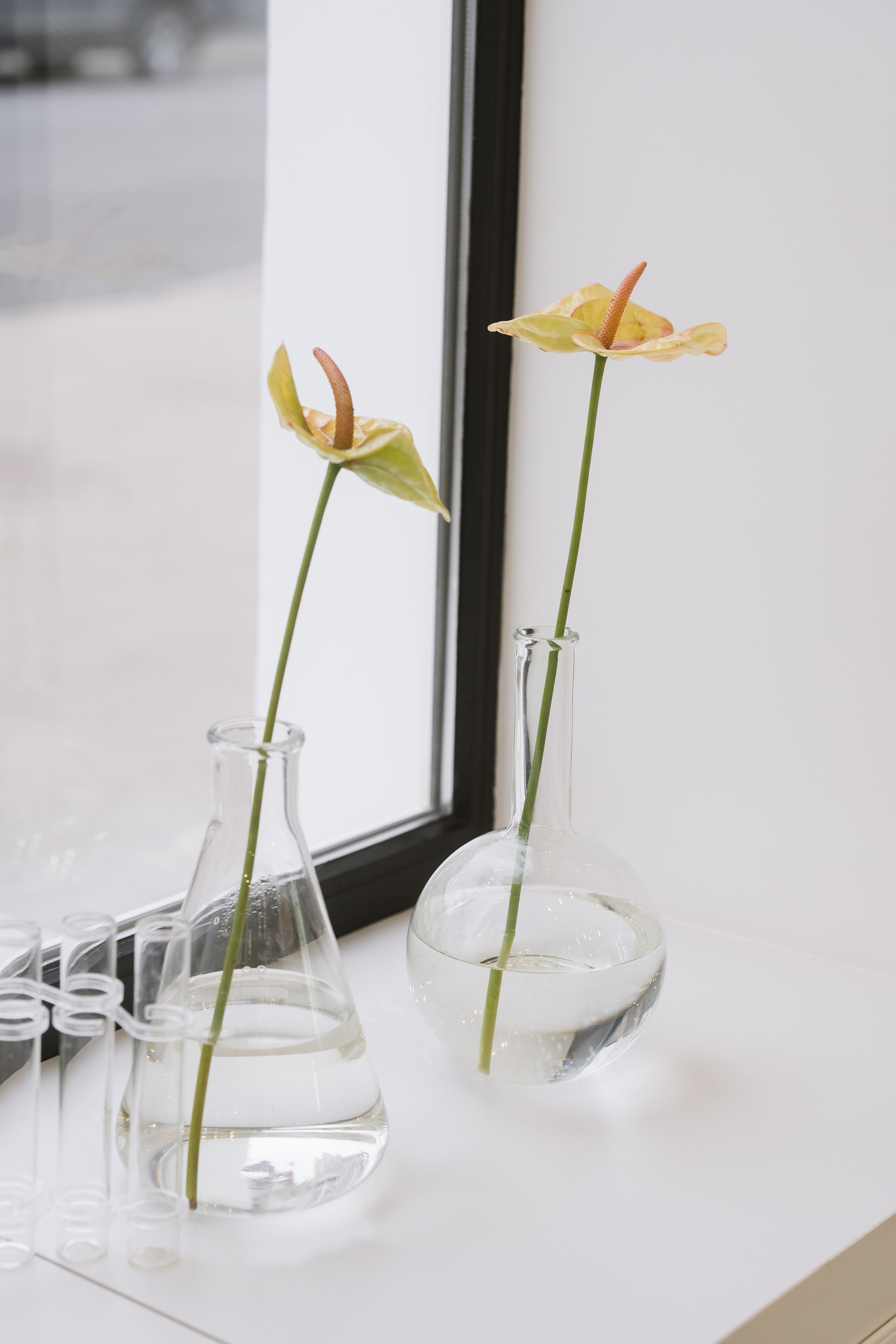 Проекты для блога и бренда. ИТВИ