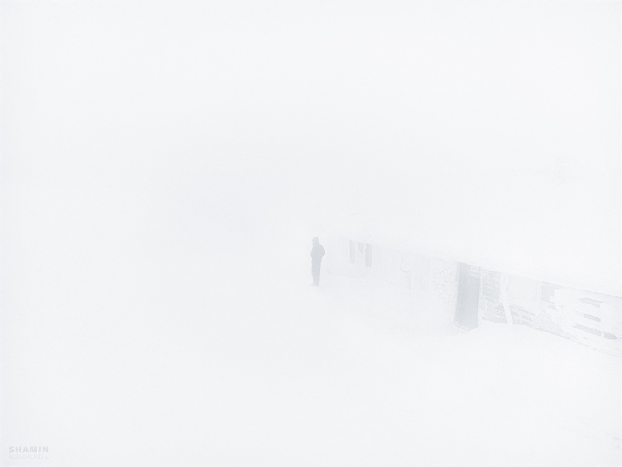 Проект 365. Фотограф Константин Шамин