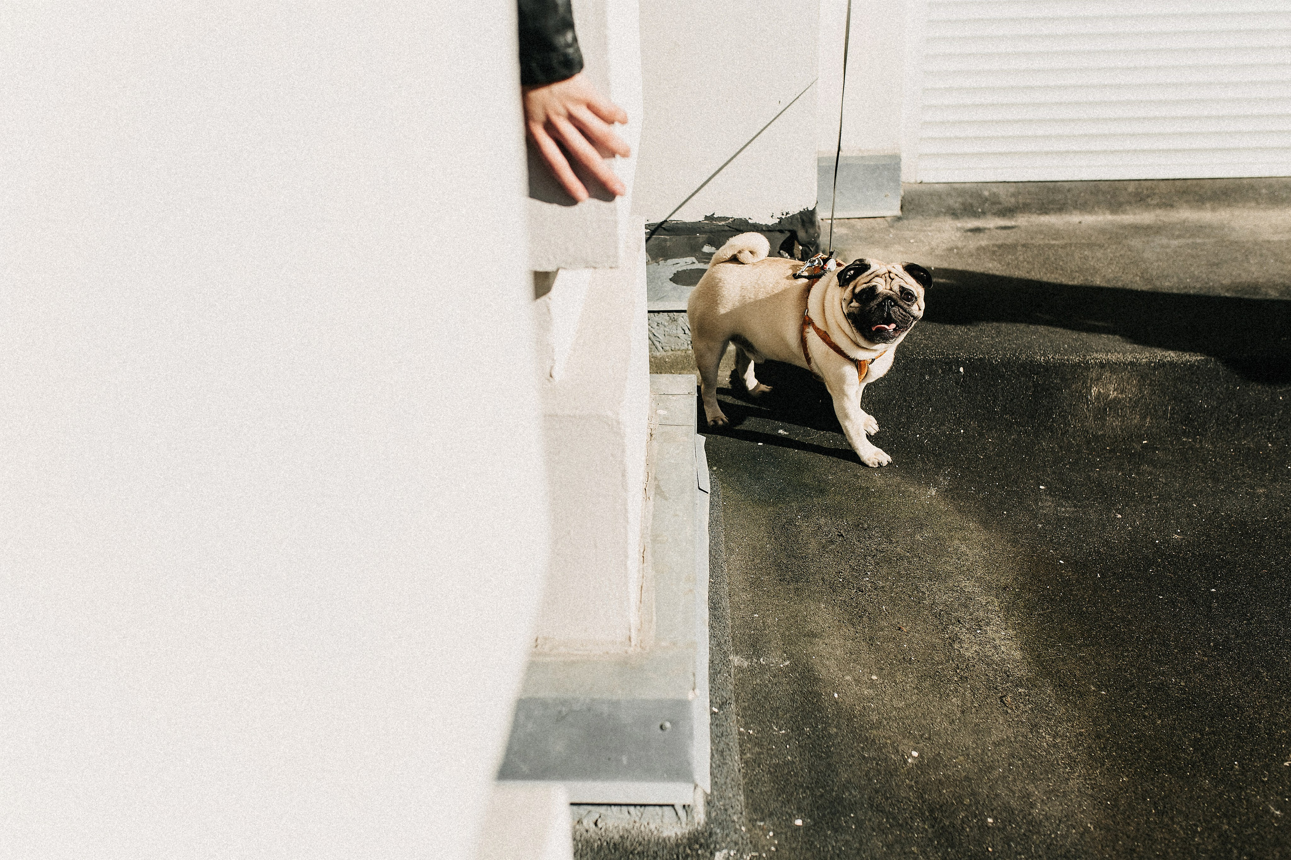 Мастер Класс