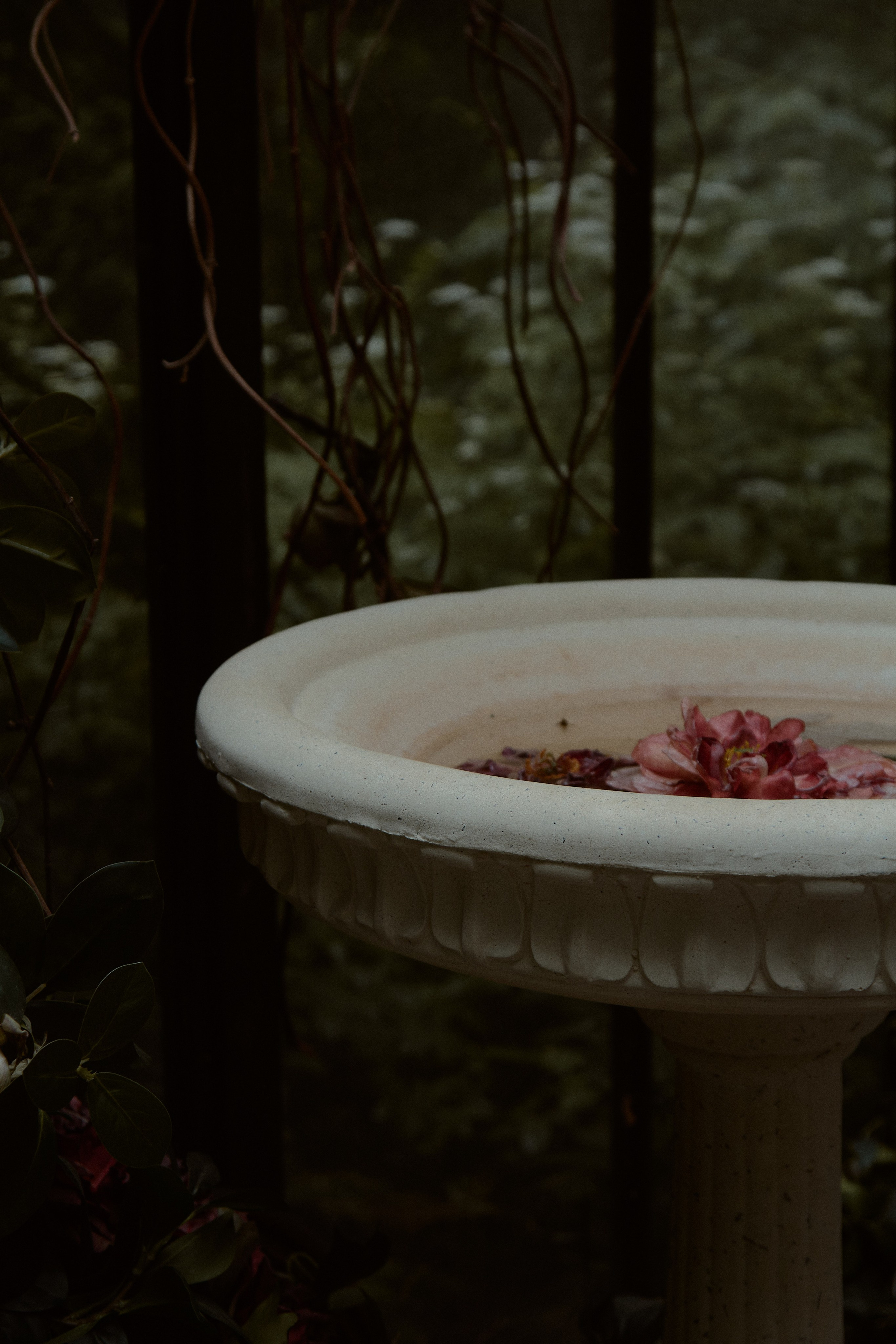 Портретная фотосессия в стиле готики и вампиров