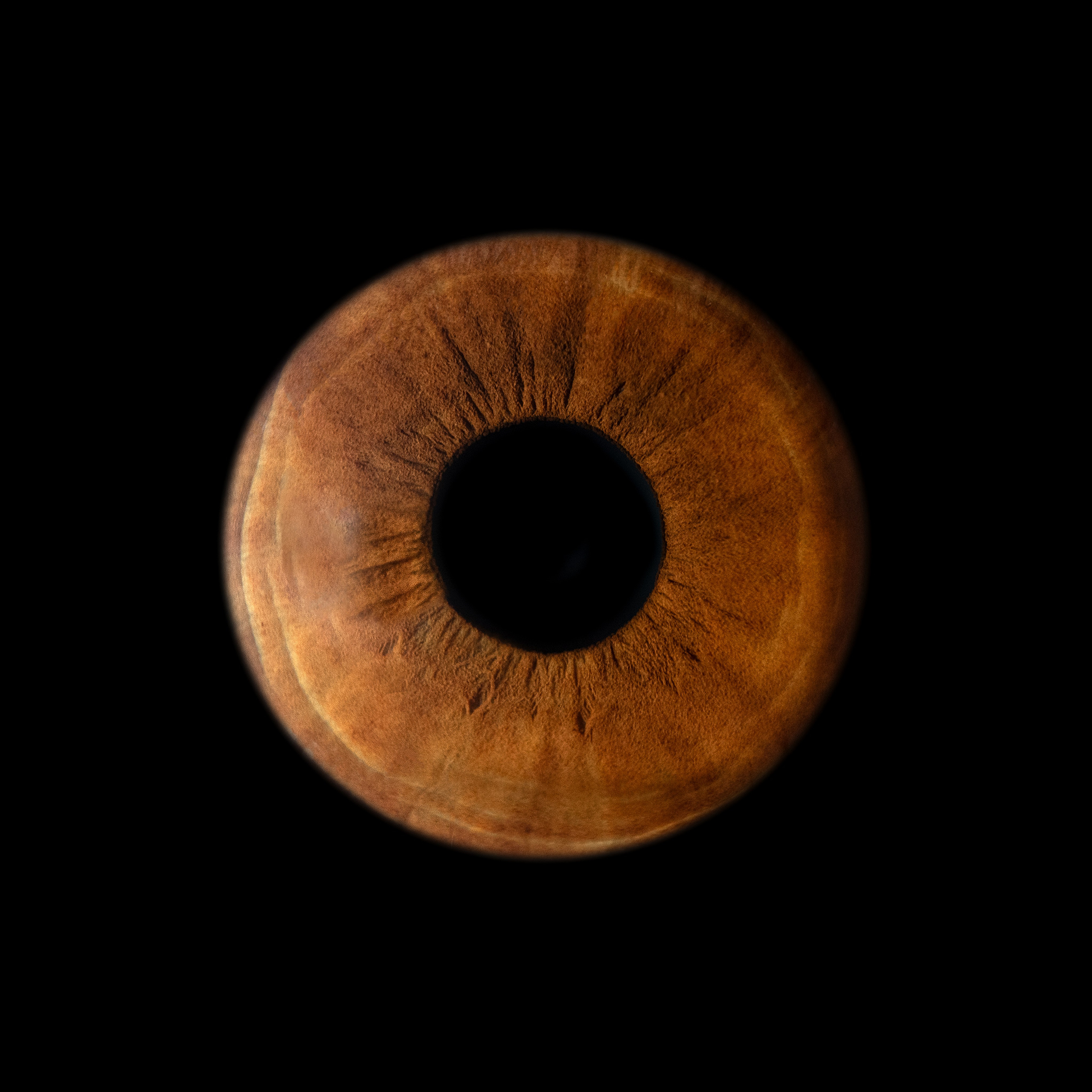 Фото радужки глаза в высоком разрешении и детализации. Крым, Севастополь. Ojo Art