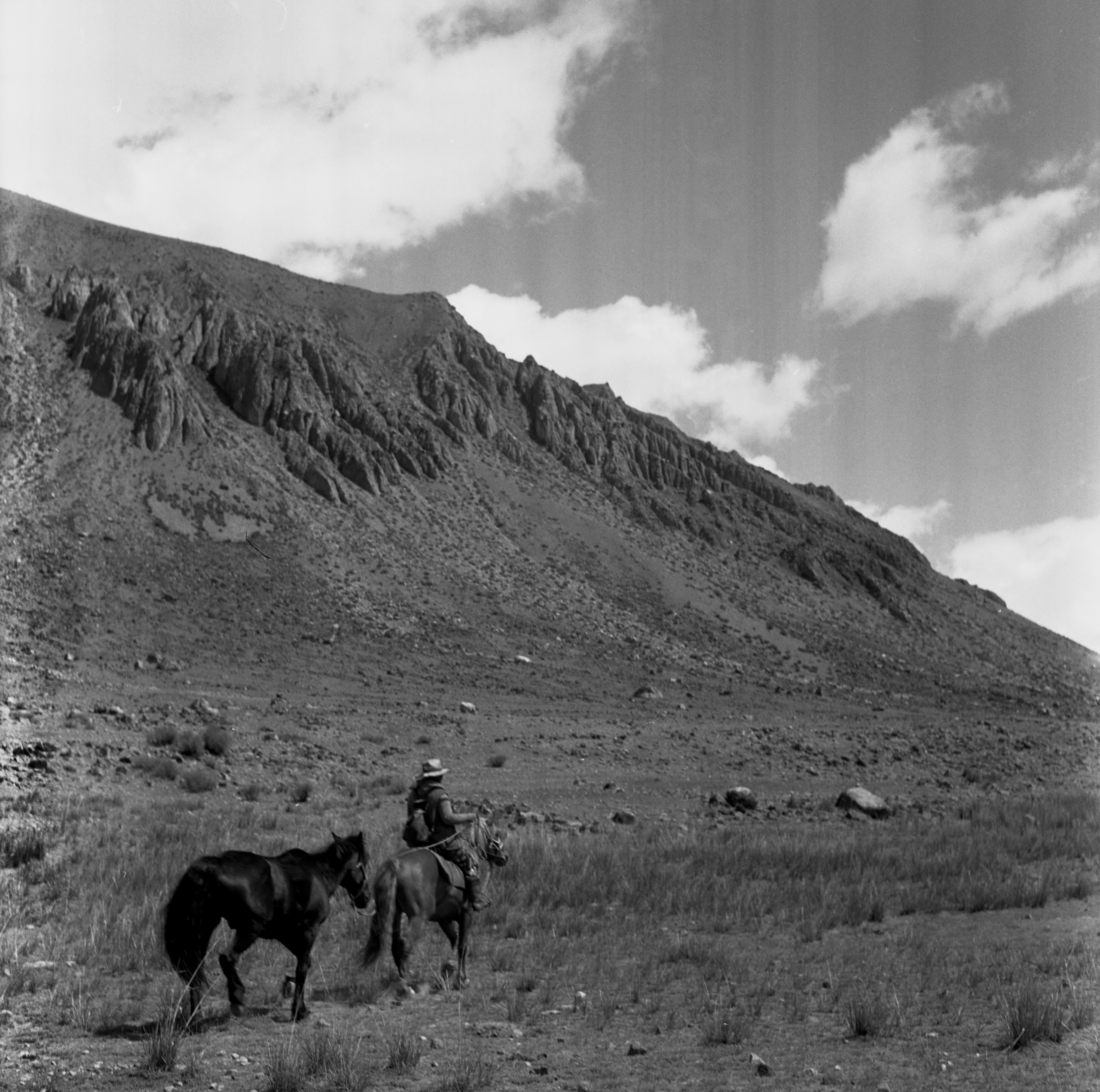 Алтай, Россия. Elena Nikitina. Photo Artist. Film photography. Prints