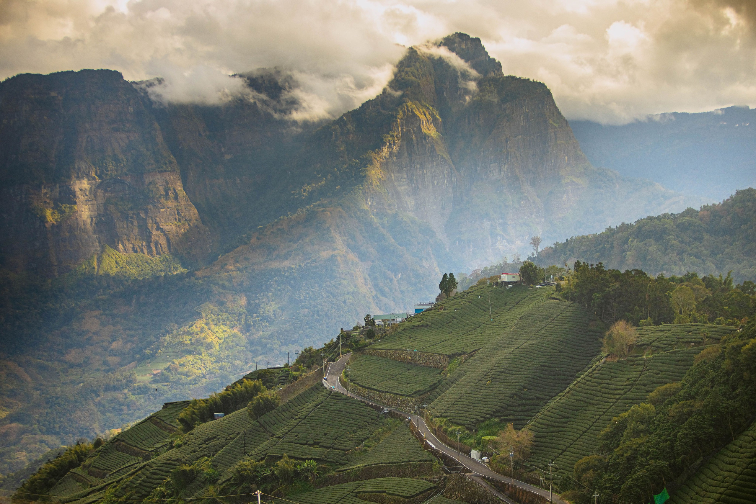 Фотография, ретушь, сканирование, восстановление старых фото, интерьерная съёмка, студия. Данилов Александр, Москва
