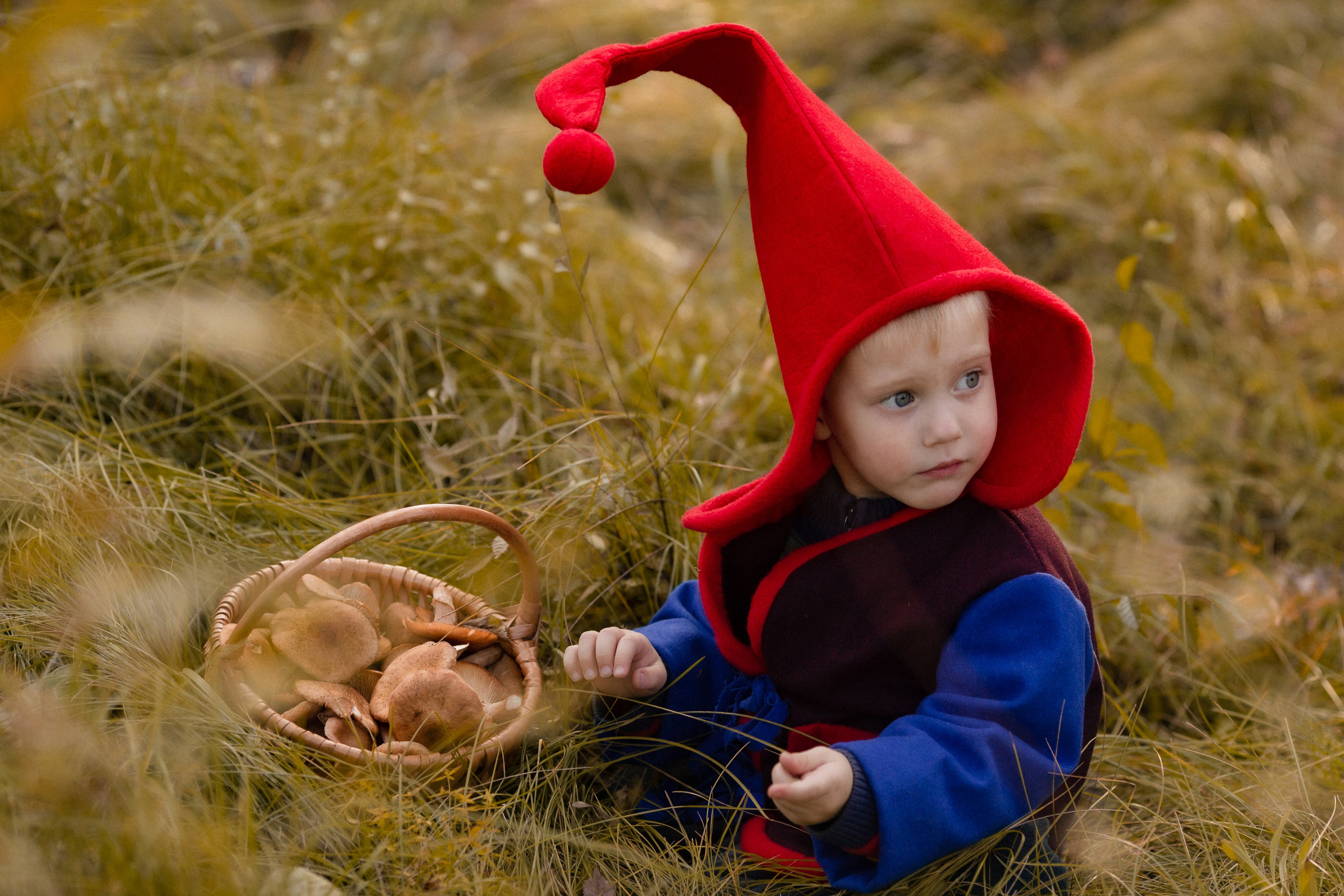 Лесные гномы