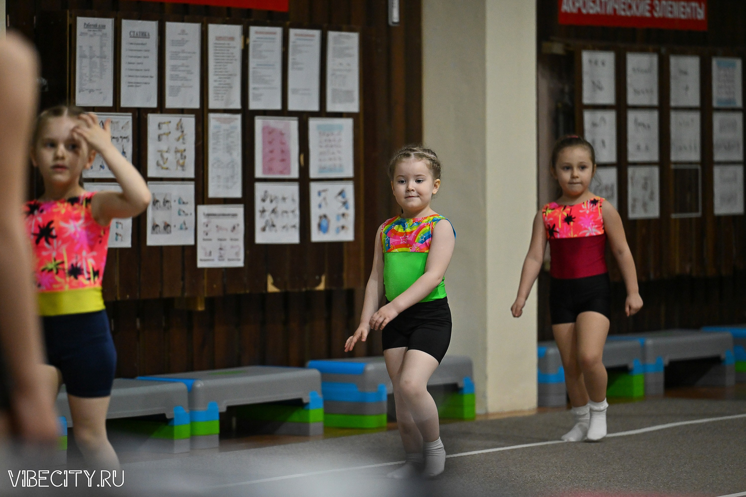 Контрольная тренировка по спортивной гимнастике. VIBECITY.RU Вайб Сити Ру Фоторепортажи Фотоотчеты Калининград