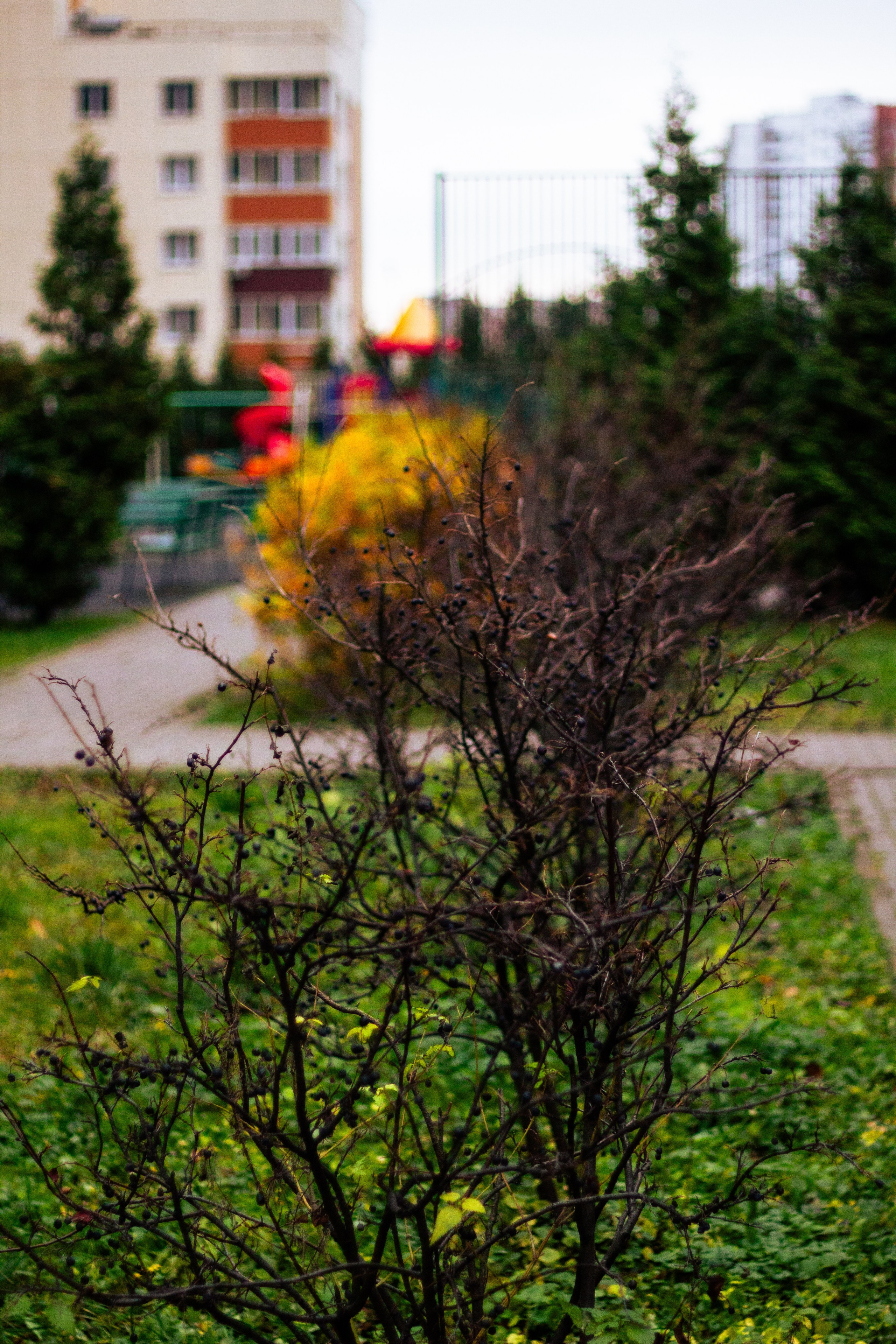 Осень в Москве. Фотограф Москва, портрет, стрит, репортаж. Художественная фотосессия