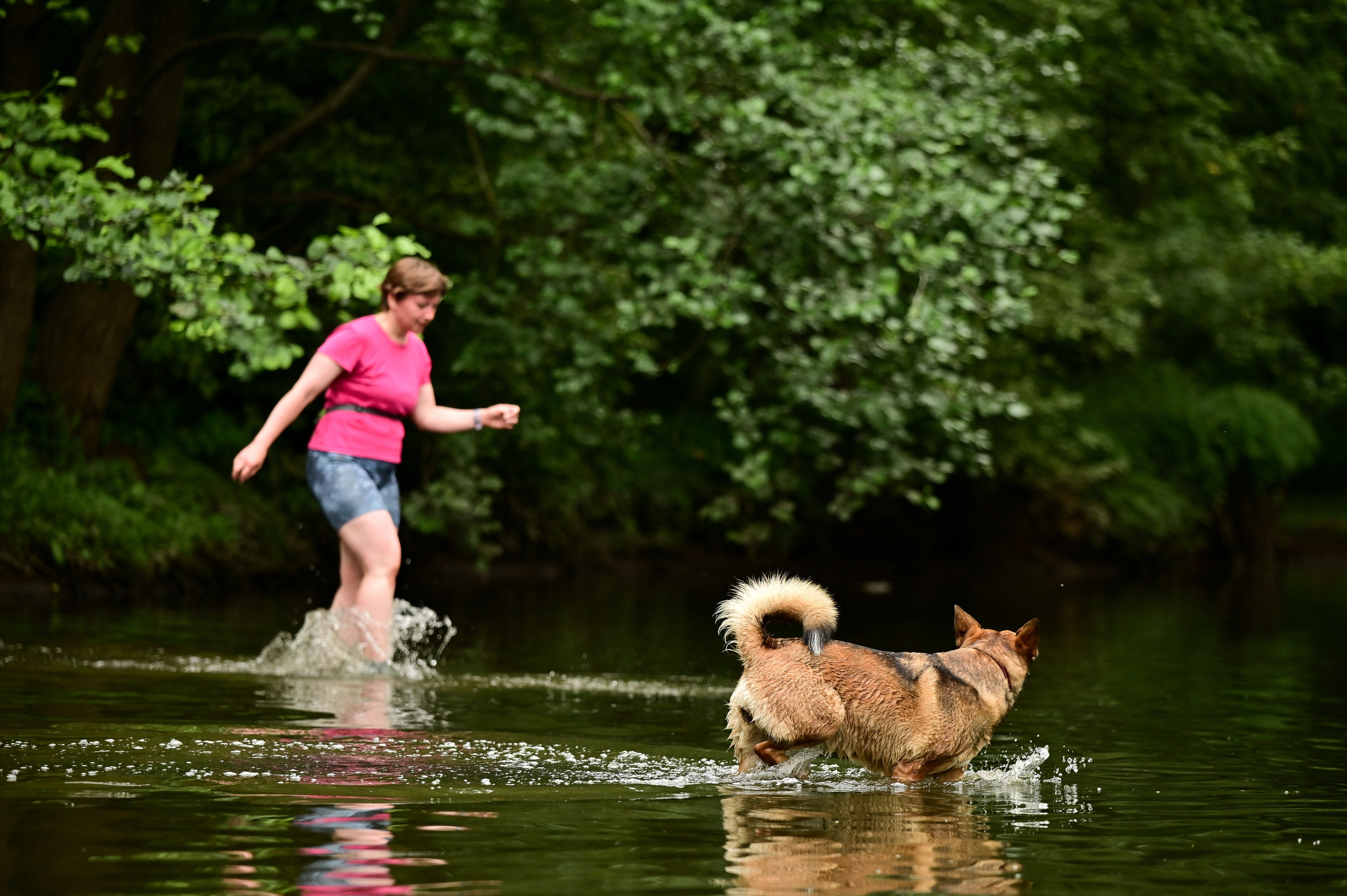 Wild S95 Кузьминки (13.07.24). Фотограф | Ирина Гамзинова | Москва