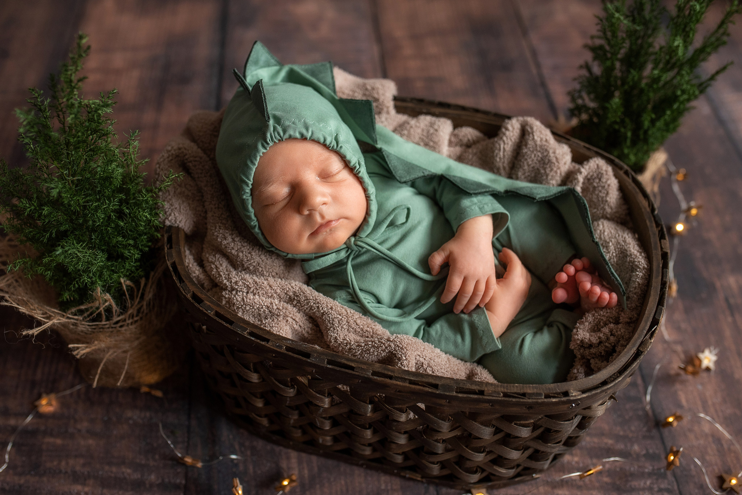 Фотограф новорожденных в Екатеринбурге Лена Ильина