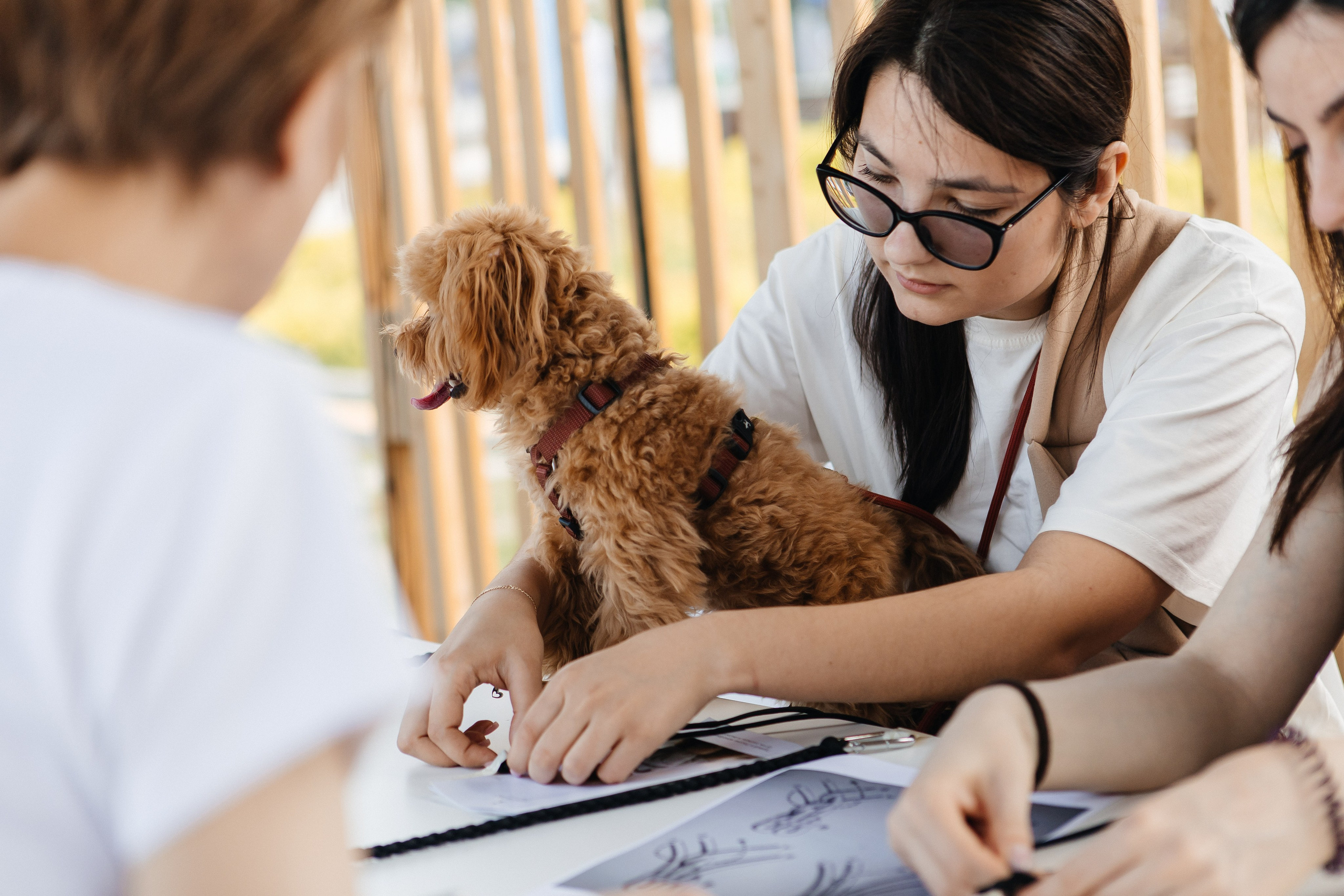 PORTFOLIO. Five Media — репортажный фотограф Москва | Мск