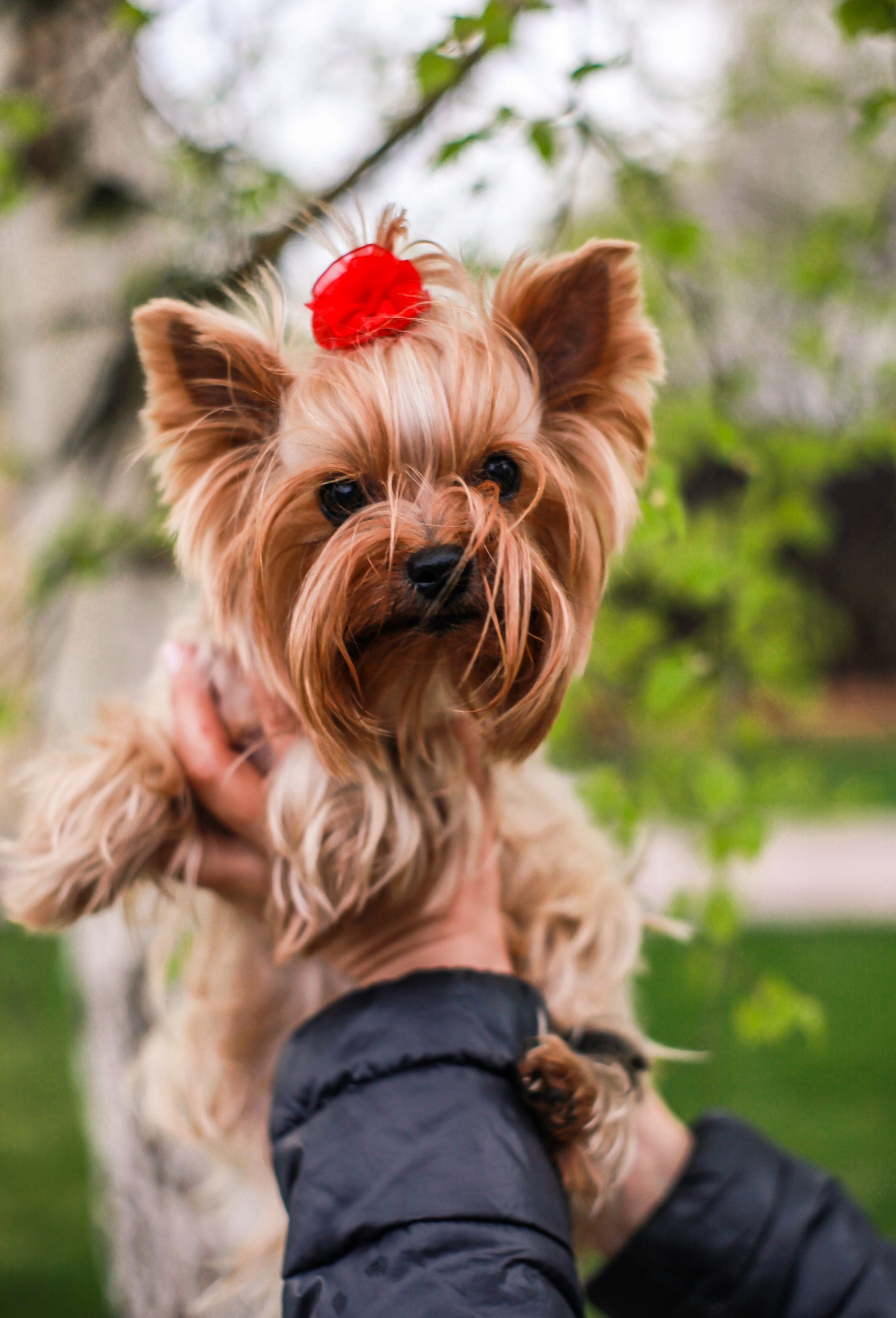 День рождения Ивана. Портретный и свадебный фотограф в Москве Сергей Святной
