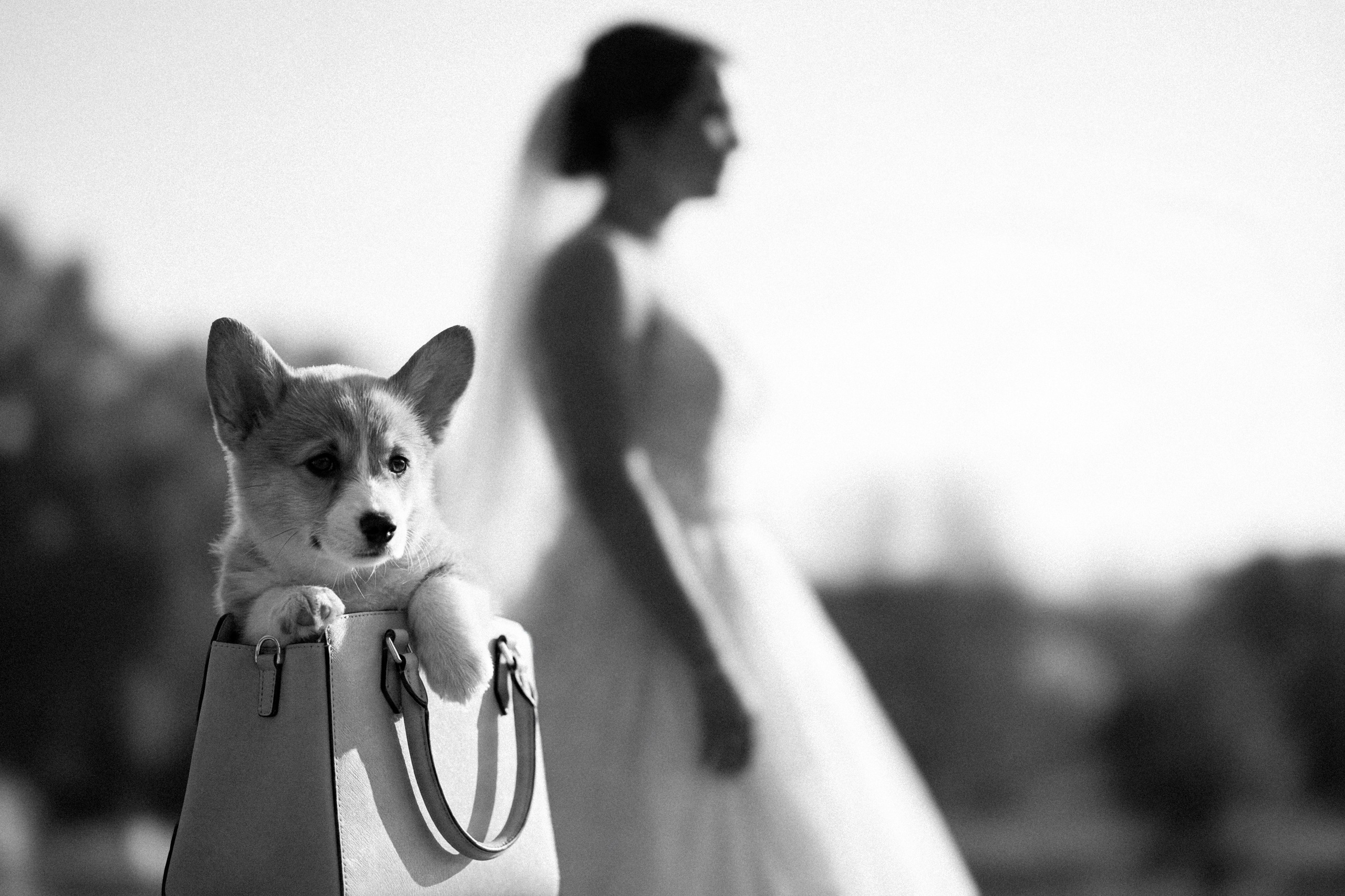 🚩 Свадебное фото — и локации, советы. Свадебный, семейный фотограф и видеограф в Перми Павел Савин