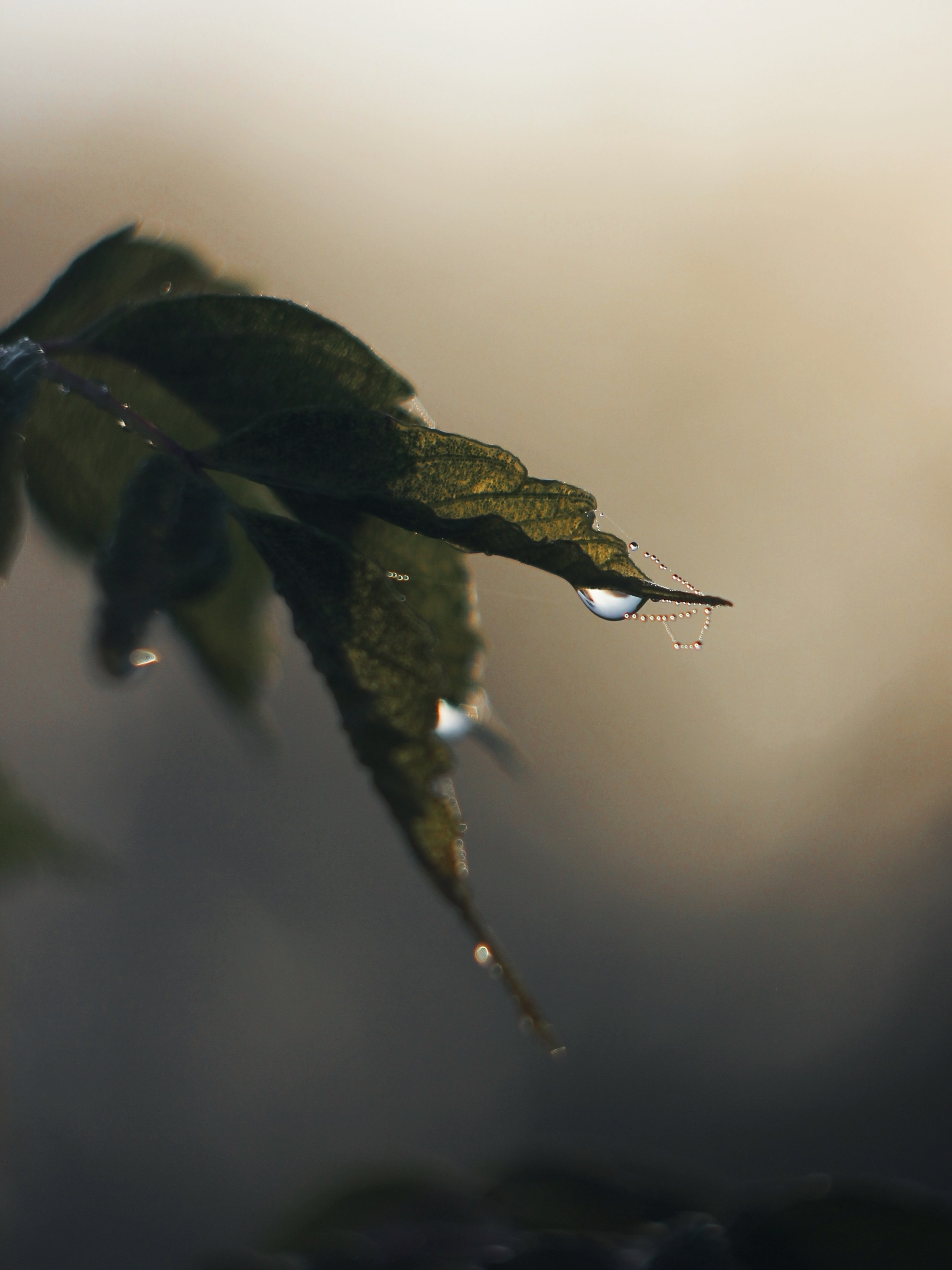 Опустошенность. С любовью, фотохудожник