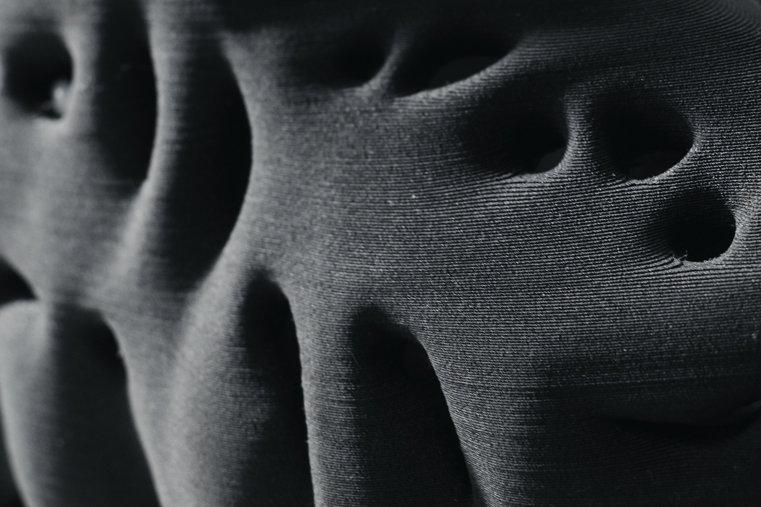 Гафер. Фотограф Пудинова Настя