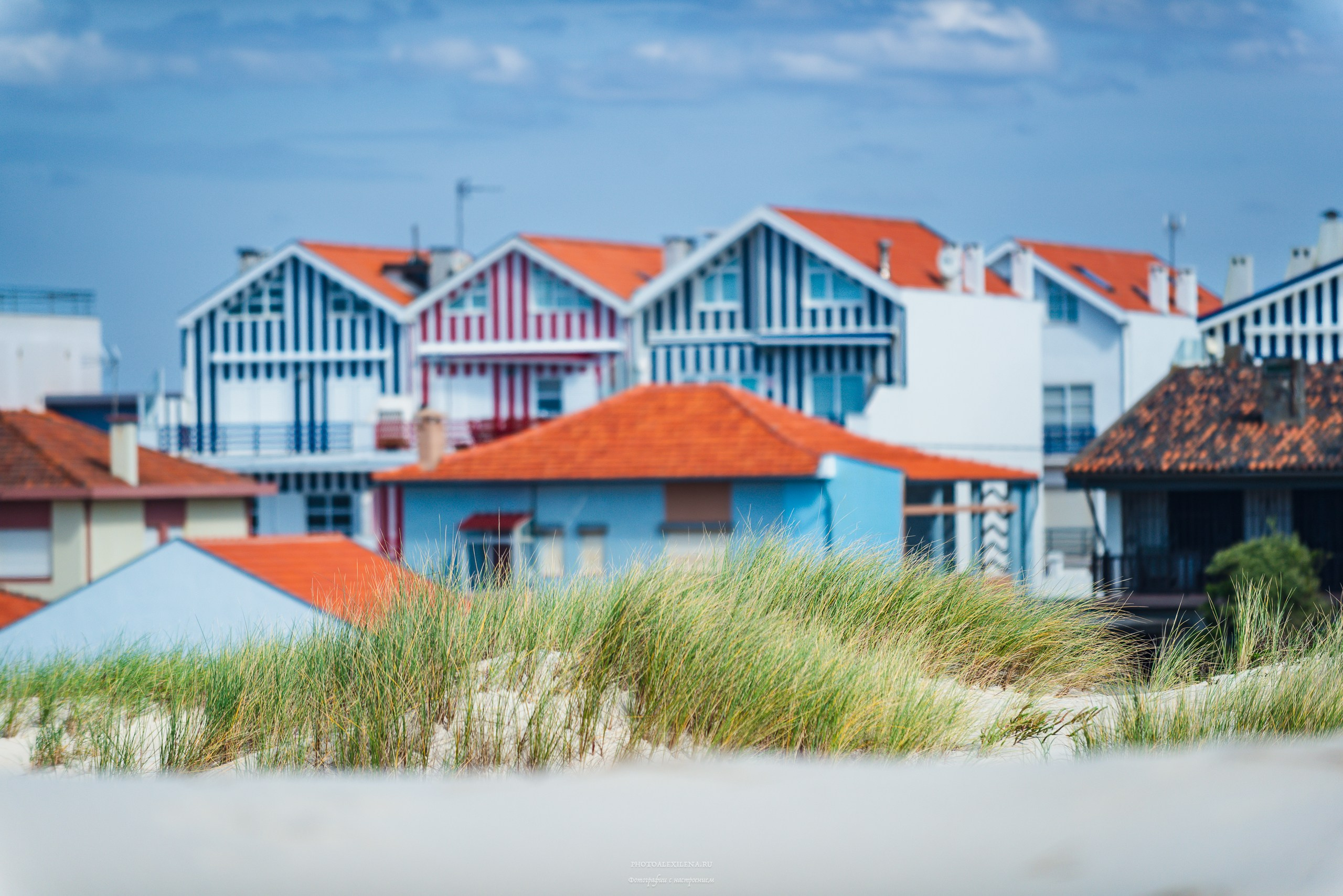 Жизнь в полосочку. Авторские стильные фотокартины