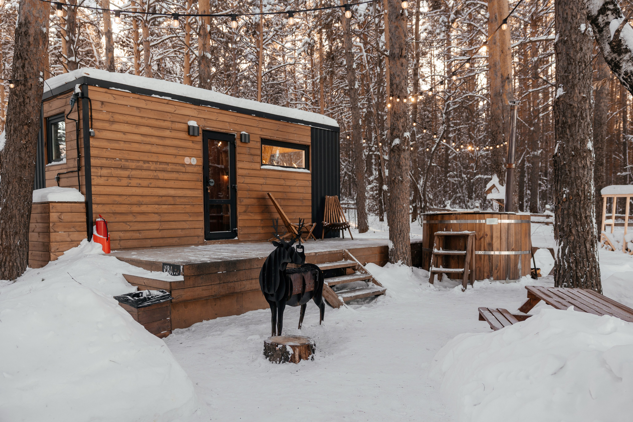 Дверь в лес. Фотограф для бизнеса Константин Брусницын в Екатеринбурге