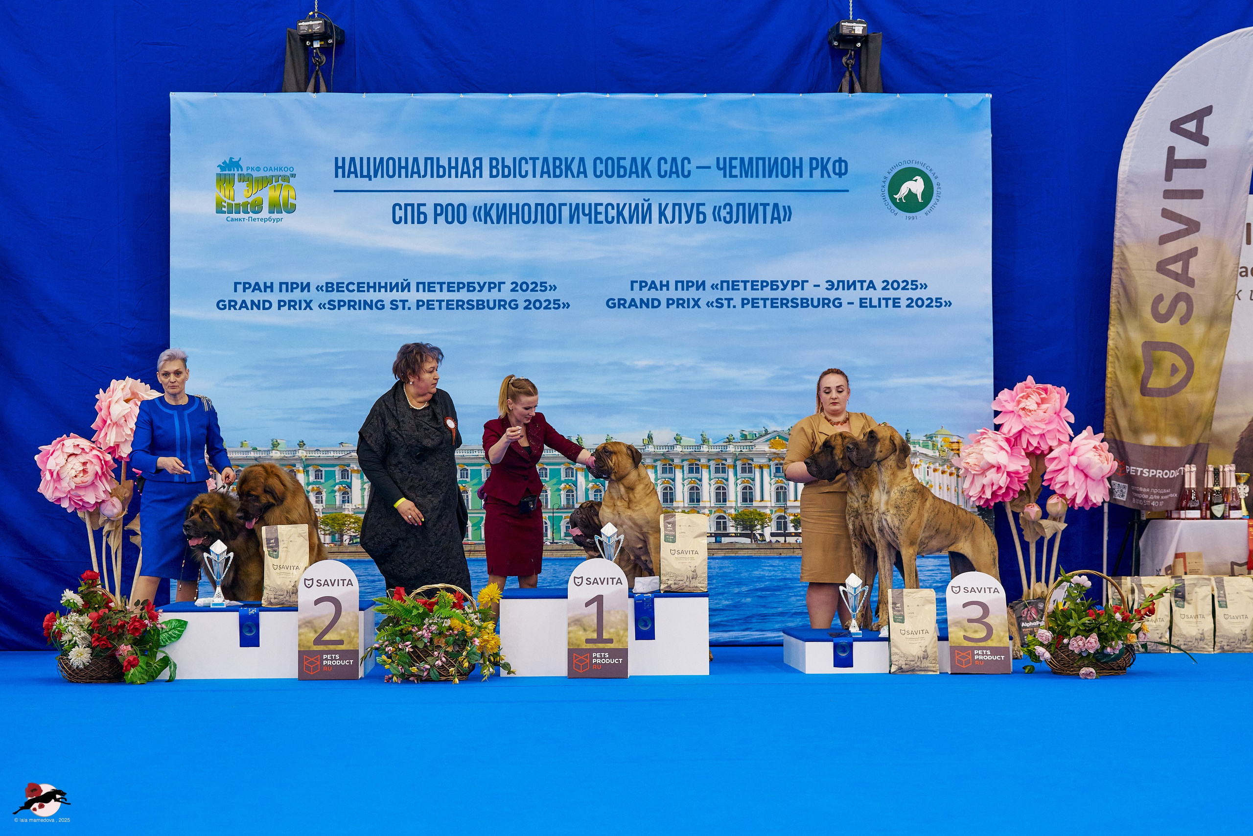 ГРАН ПРИ «ВЕСЕННИЙ ПЕТЕРБУРГ» & «СУПЕР КУБОК «ЭЛИТЫ»-2025»