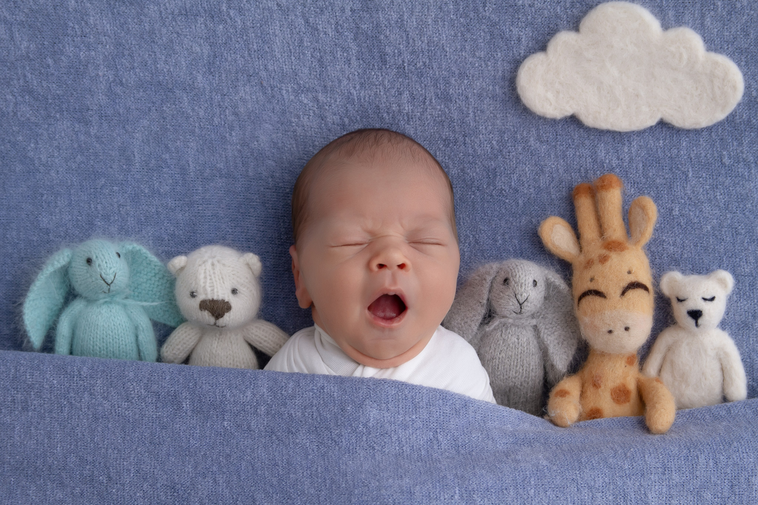 Самая первая фотосессия малыша! Профессиональная съемка новорожденных Newborn в Москве и МО!