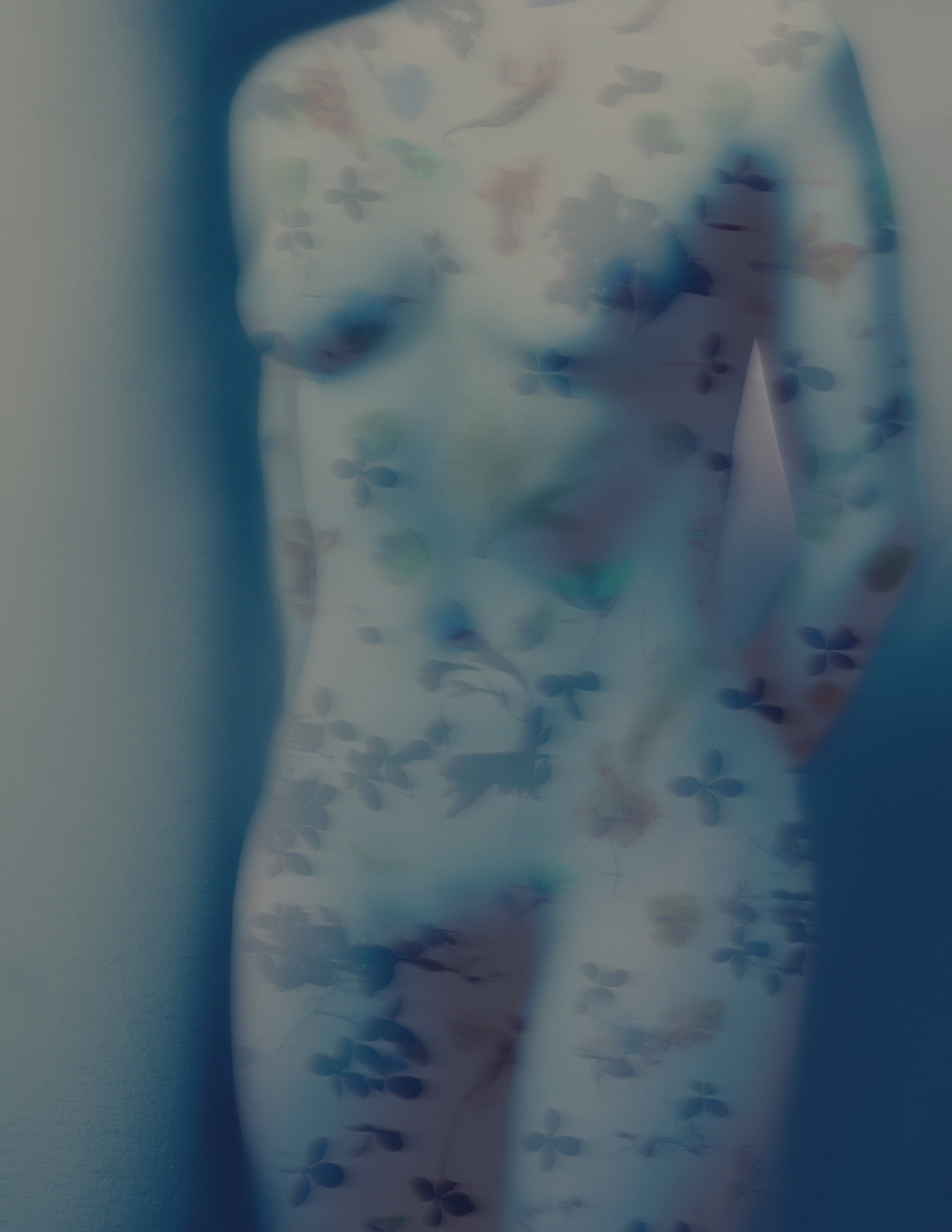 Amor Seco. Художественная фотография в Санкт-Петербурге Алина Берёзкина