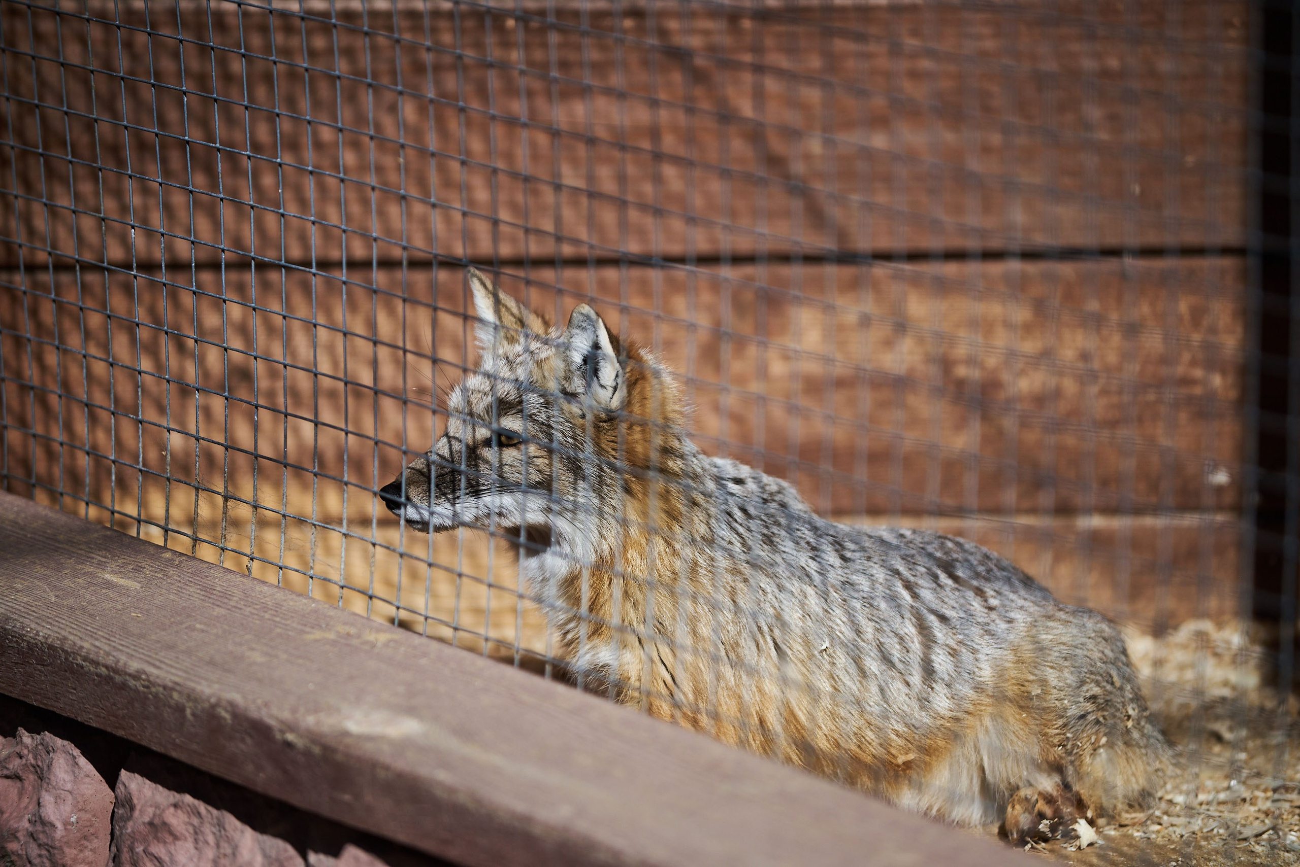 Зоопарк Иваново. Фотограф в Иваново: Каталожная съемка одежды и постельного белья, Wildberries