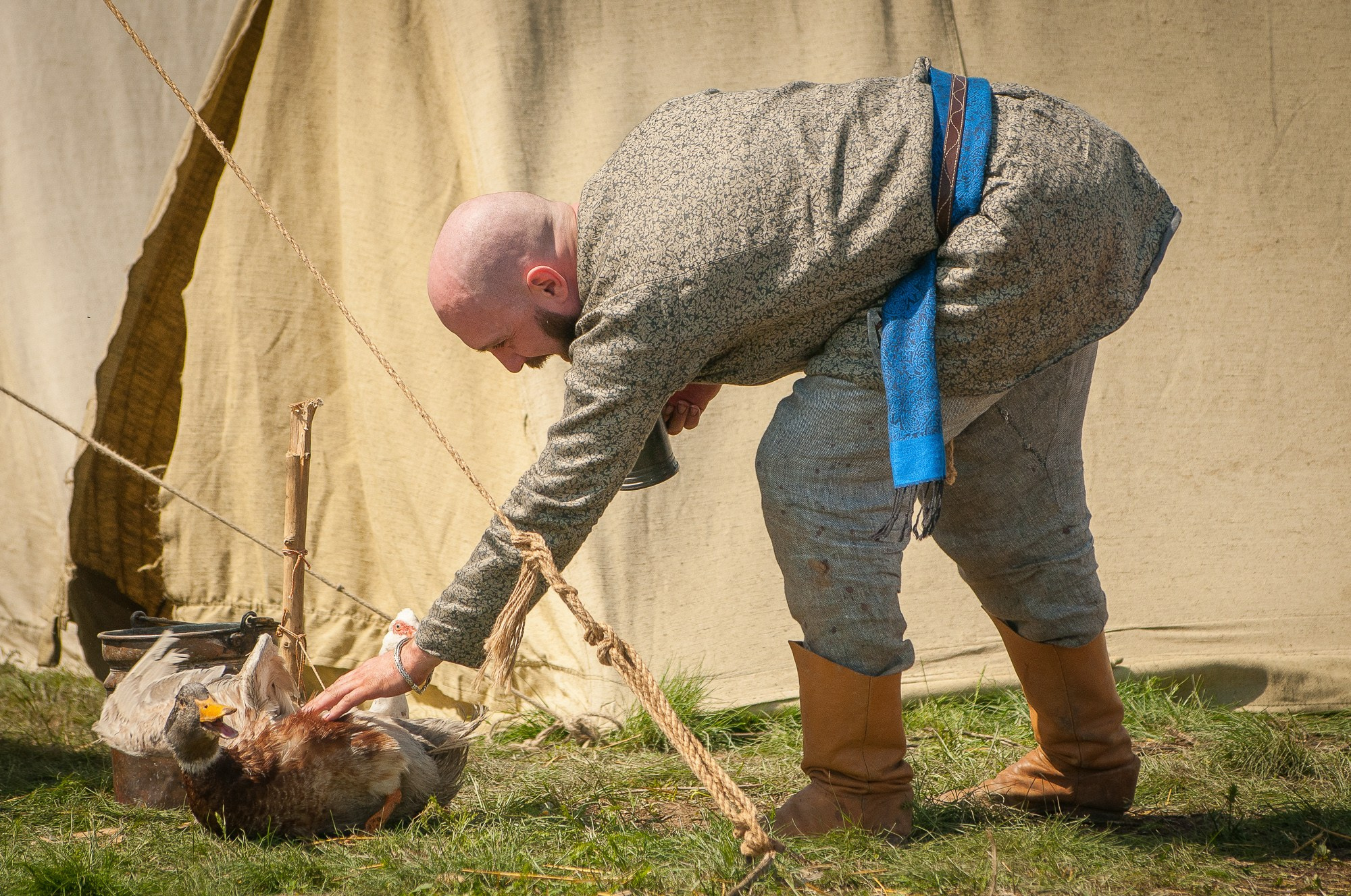 Мужчина в историческом костюме гладит утку