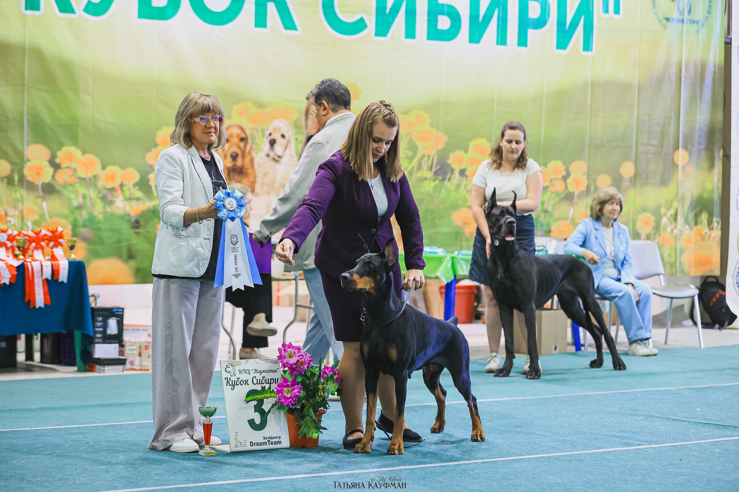 13.07.25 2х выставки собак. Новосибирск. «Кубок Сибири»