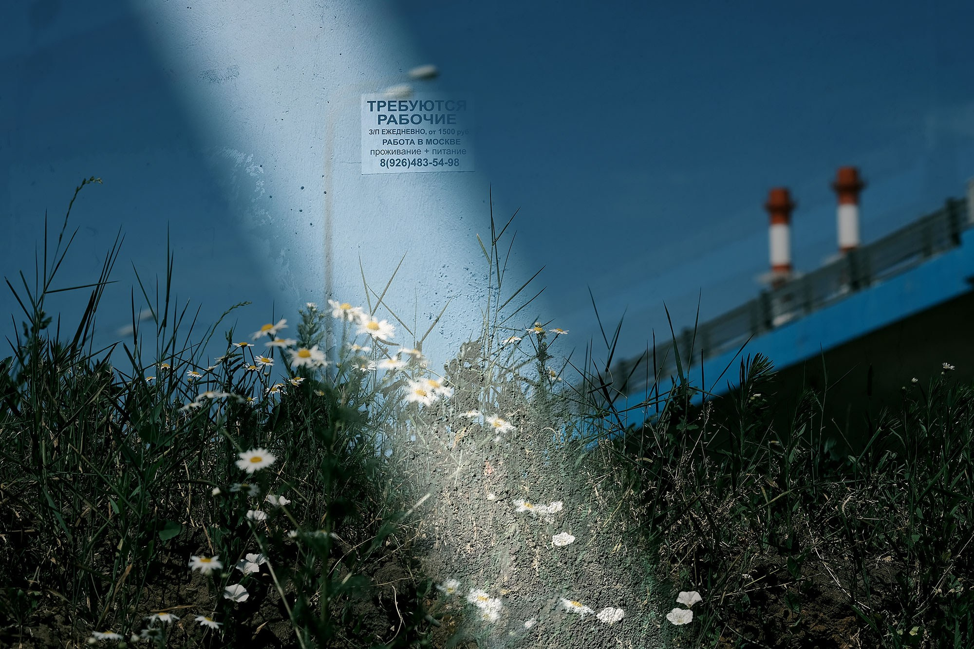 What Happened?. Margarita Rodionova — a contemporary lens-based artist currently working in Cancun, Mexico