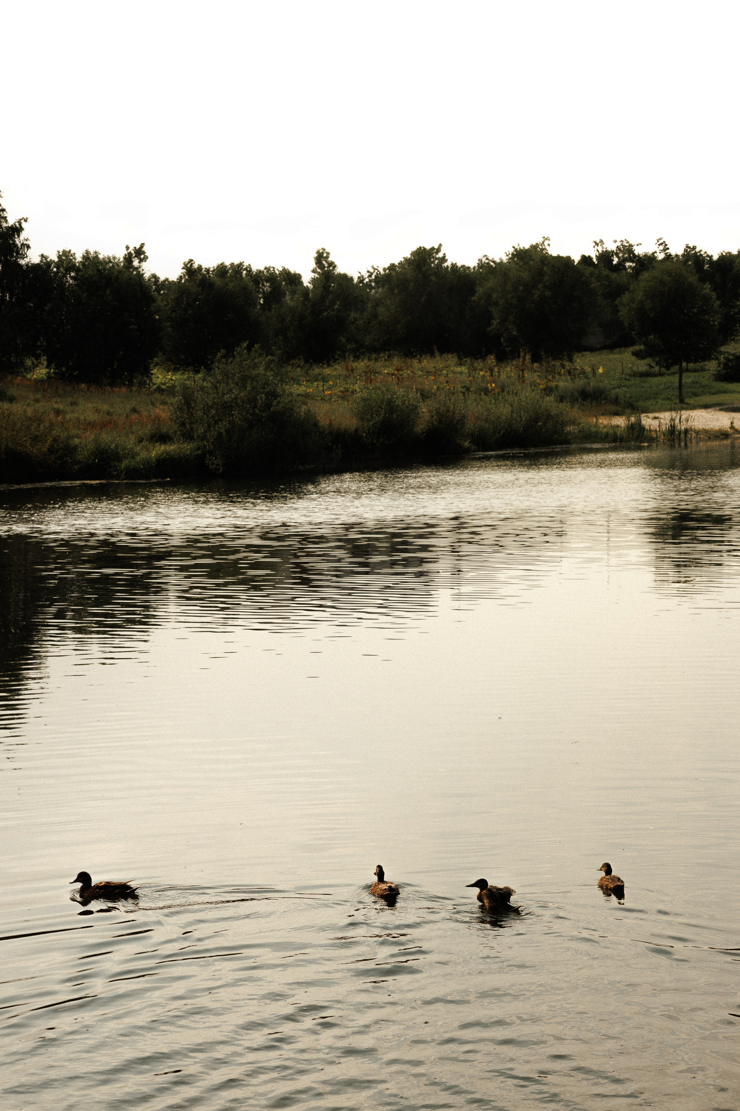 СВАДЬБЫ. Свадебный и event-фотограф Иван Волнухин