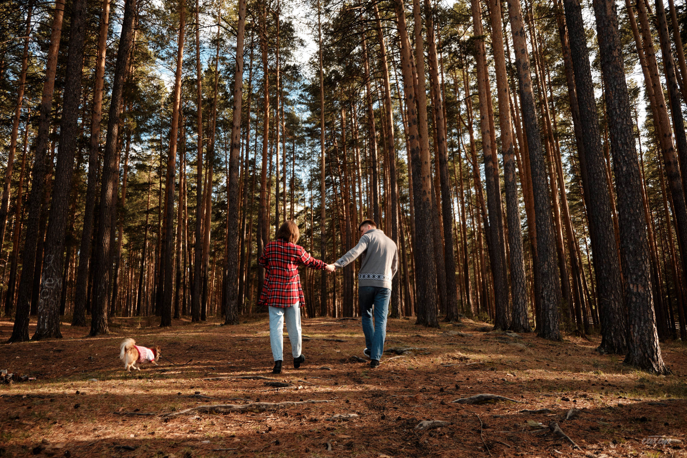 семейный фотограф, фотограф семьи, семейный фотограф юра сахар, фотограф семьи юра сахар, фотограф юра сахар, юра сахар, фотограф сахар, фотограф в екатеринбурге, фотограф екатеринбург, фотограф в екб, фотограф в екате, фотограф на фотосессию, фотограф на новогоднюю фотосессию, заказать фотографа на фотосессию семьи, записаться на фотосессию, записаться на новогоднюю фотосессию, семейная фотосессия, семейная фотосессия в студии, семейная фотосессия в студии екатеринбург, семейная фотосессия в студии екб, семейная фотосессия в студии екат, семейные фотосессии с детьми, семейная фотосессия на природе, семейная фотосессия фото, семейная фотосессия в студии с детьми, семейная фотосессия весной, семейная фотосессия екатеринбург, семейная фотосессия екб, семейная фотосессия екат, семейная фотосессия цена, семейная фотосессия недорого, семейная беременная фотосессия, семейная фотосессия на улице, семейная фотосессия летом, семейная фотосессия в джинсах, семейная фотосессия в белом, семейная фотосессия дома, семейная фотосессия на природе весной, новогодняя фотосессия семейная, семейные фотосессии с детьми на природе, семейные фотосессии маленьким, весенняя семейная фотосессия, семейная пара фотосессия, фотосессии семейных пар, семейная фотосессия с маленьким ребенком, семейная фотосессия на природе летом, цена семейной фотосессии в студии, семейная фотосессия в саду, семейная фотосессия год, пасхальная фотосессия семейная, семейная фотосессия в парке, семейная фотосессия на годик, фотосессия семьи, фотосессия семьи в екатеринбурге, екатеринбург в екб, подарочный сертификат, купить подарочный сертефикат, подарочный сертификат на семейную фотосессию, подарочный сертификат на фотосессию семьи, купить подарочный сертификат на семейную фотосессию, купить подарочный сертификат на фотосессию семьи, фотосессия семьи, фотосессия семья дети, фотосессия с семьей в студии, фотосессия семьи на природе, образы для фотосессии для семьи, фотосессия беременной с семьей, фотосессия большой семьи, фотосессии весной семьей, фотосессия семьи на улице, фотосессия семьи екатеринбург, фотосессия семьи цена, фотосессия семья лето, идеи фотосессии семьи на природе, фотосессии семьи с ребенком в студии, фотосессия семьи дома, весенняя фотосессия семьи, фотосессия семья в джинсах, фотосессия для семьи спб, фотосессия семья в белом, день семьи фотосессия, фотосессия пикник семья, футболки для фотосессии для всей семьи, красивая фотосессия семьи, фотосессия весной на улице семьей, фотосессия семьей, фотосессия многодетной семьи, фотосессия семьи с маленьким, фотосессия семьи с маленьким ребенком, летняя фотосессия семьи, домашняя фотосессия семьи, фотосессия екб в студии для семьи, новогодние фотосессия семья, фотосессия большой семьи в студии, семейная фотосессия большая семья, фотосессия семьи в парке, семейная фотосессия на природе весной, семейные фотосессии с детьми на природе, семейная фотосессия на природе летом, фотосессии семейные на природе, семейная фотосессия на природе с детьми летом, семейная фотосессия весной на природе с детьми, весенние фотосессии на природе семейные, идеи семейных фотосессий на природе летом, образы для семейной фотосессии на природе, летняя семейная фотосессия на природе, семейная фотосессия с собакой на природе, семейная фотосессия дома, семейная фотосессия в загородном доме, семейная фотосессия дома на даче, семейная фотосессия с детьми дома, пасхальная фотосессия семейная дома, семейная фотосессия дома с малышом, фотосессия семейная с маленьким ребенком дома, фотосессия пикник, фотосессия пикник на природе, семейная фотосессия пикник, семейная фотосессия с палаткой, фотосессия пикник семья, фотосессия пикник с ребенком, фотосессия на пикнике, фотосессия в стиле пикник, фотосессия пикник на природе весной, фотосессия пикник на природе семьей, фотосессия пикник на природе с ребенком, пикник осенняя фотосессия фотосессия, фотосессия пикник в лесу, фотосессия пикник на природе екатеринбург, фотосессия пикник на природе екб, стоимость семейной фотосессии, стоимость семейной фотосессии в екатеринбурге, сколько стоит семейная фотосессия, сколько стоит семейная фотосессия в екатеринбурге, записаться на семейную фотосессию, записаться на семейную фотосессию в екатеринбурге, записаться на фотосессию семьи в екатеринбурге, записаться на фотосессию семьи, Новогодняя фотосессия, новогодняя фотосессия в екатеринбурге, новогодняя фотосессия в екб, новогодняя фотосессия, новогодние фотосессии в студии, новогодние фотосессии в студии екатеринбург, новогодняя фотосессия семейная, детская новогодняя фотосессия, фотосессия новогодние идеи, новогодняя фотосессия беременной, новогодняя фотосессия детский сад, новогодняя фотосессия с ребенком, новогодняя фотосессия, семейная фотосессия в новогодней студии, новогодние фотосессии цены, новогодние фотосессия семья, новогодняя фотосессия дома, новогодние фотосессии малышей, новогодние фотосессии в студии дети, новогодние парные фотосессии, новогодняя фотосессия парная, новогодняя фотосессия с собакой, семейная новогодняя фотосессия с детьми, новогодняя фотосессия белая, новогодняя фотосессия с малышом в студии, новогодняя фотосессия в свитерах, однажды в екатеринбурге фотосессия новогодняя, новогодняя фотосессия в красном, новогодние фотосессии 2022, новогодние фотосессии 2023, новогодние фотосессии 2024, новогодние фотосессии 2025, новогодние фотосессии 2026, новогодняя фотосессия 2022, новогодняя фотосессия 2023, новогодняя фотосессия 2024, новогодняя фотосессия 2025, новогодняя фотосессия 2026, семейная новогодняя фотосессия в студии, новогодняя фотосессия семейная, фотограф на новогоднюю фотосессию, стоимость новогодней фотосессии, новогоднее фотосессия на улице, новогодняя фотосессия в джинсах, новогодняя фотосессия семейная, семейная фотосессия в новогодней студии, семейная новогодняя фотосессия с детьми, подарочный сертификат семейная фотосессия, купить подарочный сертификат на семейную фотосессию, подарочный сертификат на новогоднюю фотосессию, фотосессия крещение, фотосессия крещения, фотограф на крещение, фотосессия в ожидании чуда, Беременная фотосессия, фотосессия беременной,