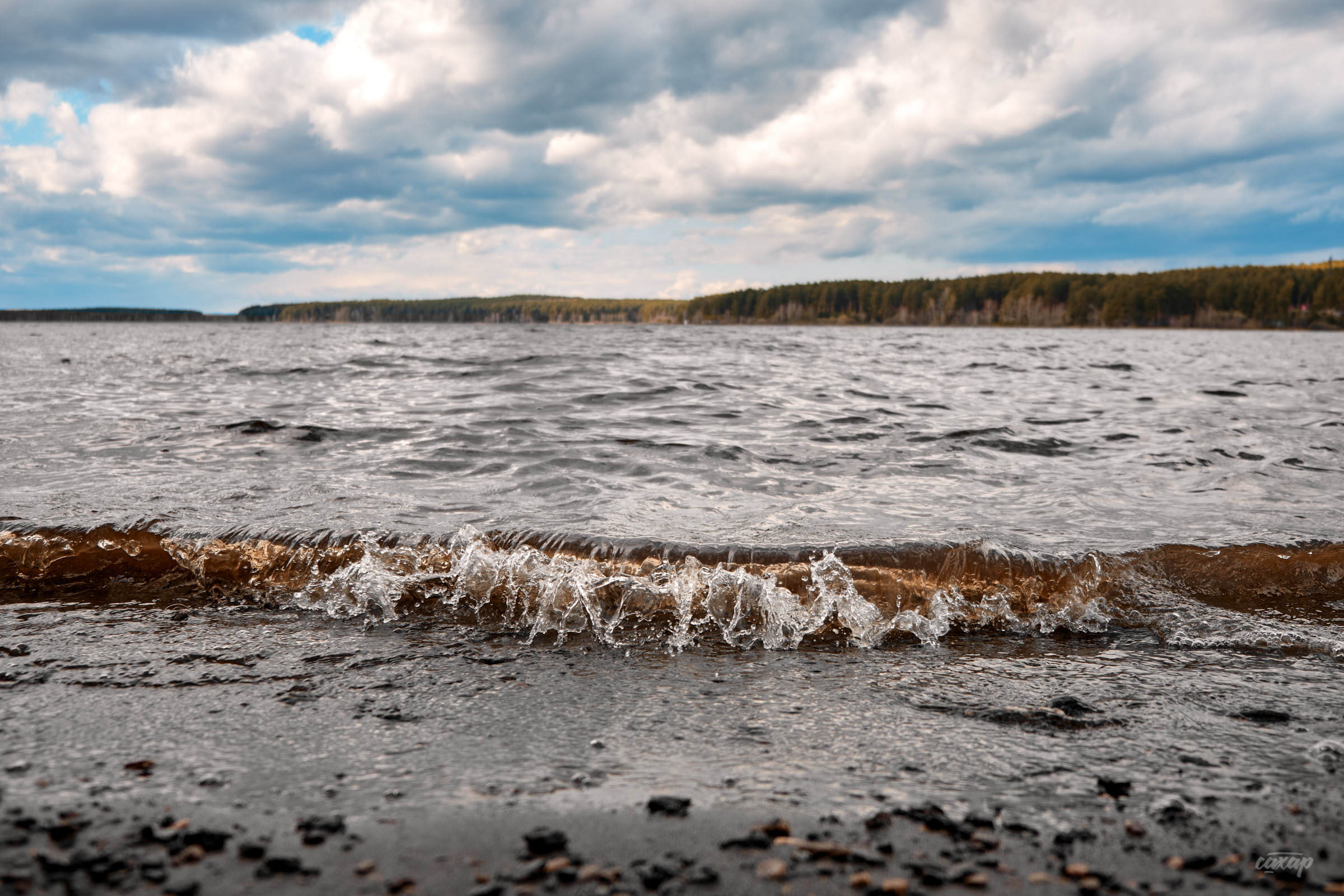 семейный фотограф, фотограф семьи, семейный фотограф юра сахар, фотограф семьи юра сахар, фотограф юра сахар, юра сахар, фотограф сахар, фотограф в екатеринбурге, фотограф екатеринбург, фотограф в екб, фотограф в екате, фотограф на фотосессию, фотограф на новогоднюю фотосессию, заказать фотографа на фотосессию семьи, записаться на фотосессию, записаться на новогоднюю фотосессию, семейная фотосессия, семейная фотосессия в студии, семейная фотосессия в студии екатеринбург, семейная фотосессия в студии екб, семейная фотосессия в студии екат, семейные фотосессии с детьми, семейная фотосессия на природе, семейная фотосессия фото, семейная фотосессия в студии с детьми, семейная фотосессия весной, семейная фотосессия екатеринбург, семейная фотосессия екб, семейная фотосессия екат, семейная фотосессия цена, семейная фотосессия недорого, семейная беременная фотосессия, семейная фотосессия на улице, семейная фотосессия летом, семейная фотосессия в джинсах, семейная фотосессия в белом, семейная фотосессия дома, семейная фотосессия на природе весной, новогодняя фотосессия семейная, семейные фотосессии с детьми на природе, семейные фотосессии маленьким, весенняя семейная фотосессия, семейная пара фотосессия, фотосессии семейных пар, семейная фотосессия с маленьким ребенком, семейная фотосессия на природе летом, цена семейной фотосессии в студии, семейная фотосессия в саду, семейная фотосессия год, пасхальная фотосессия семейная, семейная фотосессия в парке, семейная фотосессия на годик, фотосессия семьи, фотосессия семьи в екатеринбурге, екатеринбург в екб, подарочный сертификат, купить подарочный сертефикат, подарочный сертификат на семейную фотосессию, подарочный сертификат на фотосессию семьи, купить подарочный сертификат на семейную фотосессию, купить подарочный сертификат на фотосессию семьи, фотосессия семьи, фотосессия семья дети, фотосессия с семьей в студии, фотосессия семьи на природе, образы для фотосессии для семьи, фотосессия беременной с семьей, фотосессия большой семьи, фотосессии весной семьей, фотосессия семьи на улице, фотосессия семьи екатеринбург, фотосессия семьи цена, фотосессия семья лето, идеи фотосессии семьи на природе, фотосессии семьи с ребенком в студии, фотосессия семьи дома, весенняя фотосессия семьи, фотосессия семья в джинсах, фотосессия для семьи спб, фотосессия семья в белом, день семьи фотосессия, фотосессия пикник семья, футболки для фотосессии для всей семьи, красивая фотосессия семьи, фотосессия весной на улице семьей, фотосессия семьей, фотосессия многодетной семьи, фотосессия семьи с маленьким, фотосессия семьи с маленьким ребенком, летняя фотосессия семьи, домашняя фотосессия семьи, фотосессия екб в студии для семьи, новогодние фотосессия семья, фотосессия большой семьи в студии, семейная фотосессия большая семья, фотосессия семьи в парке, семейная фотосессия на природе весной, семейные фотосессии с детьми на природе, семейная фотосессия на природе летом, фотосессии семейные на природе, семейная фотосессия на природе с детьми летом, семейная фотосессия весной на природе с детьми, весенние фотосессии на природе семейные, идеи семейных фотосессий на природе летом, образы для семейной фотосессии на природе, летняя семейная фотосессия на природе, семейная фотосессия с собакой на природе, семейная фотосессия дома, семейная фотосессия в загородном доме, семейная фотосессия дома на даче, семейная фотосессия с детьми дома, пасхальная фотосессия семейная дома, семейная фотосессия дома с малышом, фотосессия семейная с маленьким ребенком дома, фотосессия пикник, фотосессия пикник на природе, семейная фотосессия пикник, семейная фотосессия с палаткой, фотосессия пикник семья, фотосессия пикник с ребенком, фотосессия на пикнике, фотосессия в стиле пикник, фотосессия пикник на природе весной, фотосессия пикник на природе семьей, фотосессия пикник на природе с ребенком, пикник осенняя фотосессия фотосессия, фотосессия пикник в лесу, фотосессия пикник на природе екатеринбург, фотосессия пикник на природе екб, стоимость семейной фотосессии, стоимость семейной фотосессии в екатеринбурге, сколько стоит семейная фотосессия, сколько стоит семейная фотосессия в екатеринбурге, записаться на семейную фотосессию, записаться на семейную фотосессию в екатеринбурге, записаться на фотосессию семьи в екатеринбурге, записаться на фотосессию семьи, Новогодняя фотосессия, новогодняя фотосессия в екатеринбурге, новогодняя фотосессия в екб, новогодняя фотосессия, новогодние фотосессии в студии, новогодние фотосессии в студии екатеринбург, новогодняя фотосессия семейная, детская новогодняя фотосессия, фотосессия новогодние идеи, новогодняя фотосессия беременной, новогодняя фотосессия детский сад, новогодняя фотосессия с ребенком, новогодняя фотосессия, семейная фотосессия в новогодней студии, новогодние фотосессии цены, новогодние фотосессия семья, новогодняя фотосессия дома, новогодние фотосессии малышей, новогодние фотосессии в студии дети, новогодние парные фотосессии, новогодняя фотосессия парная, новогодняя фотосессия с собакой, семейная новогодняя фотосессия с детьми, новогодняя фотосессия белая, новогодняя фотосессия с малышом в студии, новогодняя фотосессия в свитерах, однажды в екатеринбурге фотосессия новогодняя, новогодняя фотосессия в красном, новогодние фотосессии 2022, новогодние фотосессии 2023, новогодние фотосессии 2024, новогодние фотосессии 2025, новогодние фотосессии 2026, новогодняя фотосессия 2022, новогодняя фотосессия 2023, новогодняя фотосессия 2024, новогодняя фотосессия 2025, новогодняя фотосессия 2026, семейная новогодняя фотосессия в студии, новогодняя фотосессия семейная, фотограф на новогоднюю фотосессию, стоимость новогодней фотосессии, новогоднее фотосессия на улице, новогодняя фотосессия в джинсах, новогодняя фотосессия семейная, семейная фотосессия в новогодней студии, семейная новогодняя фотосессия с детьми, подарочный сертификат семейная фотосессия, купить подарочный сертификат на семейную фотосессию, подарочный сертификат на новогоднюю фотосессию, фотосессия крещение, фотосессия крещения, фотограф на крещение, фотосессия в ожидании чуда, Беременная фотосессия, фотосессия беременной,