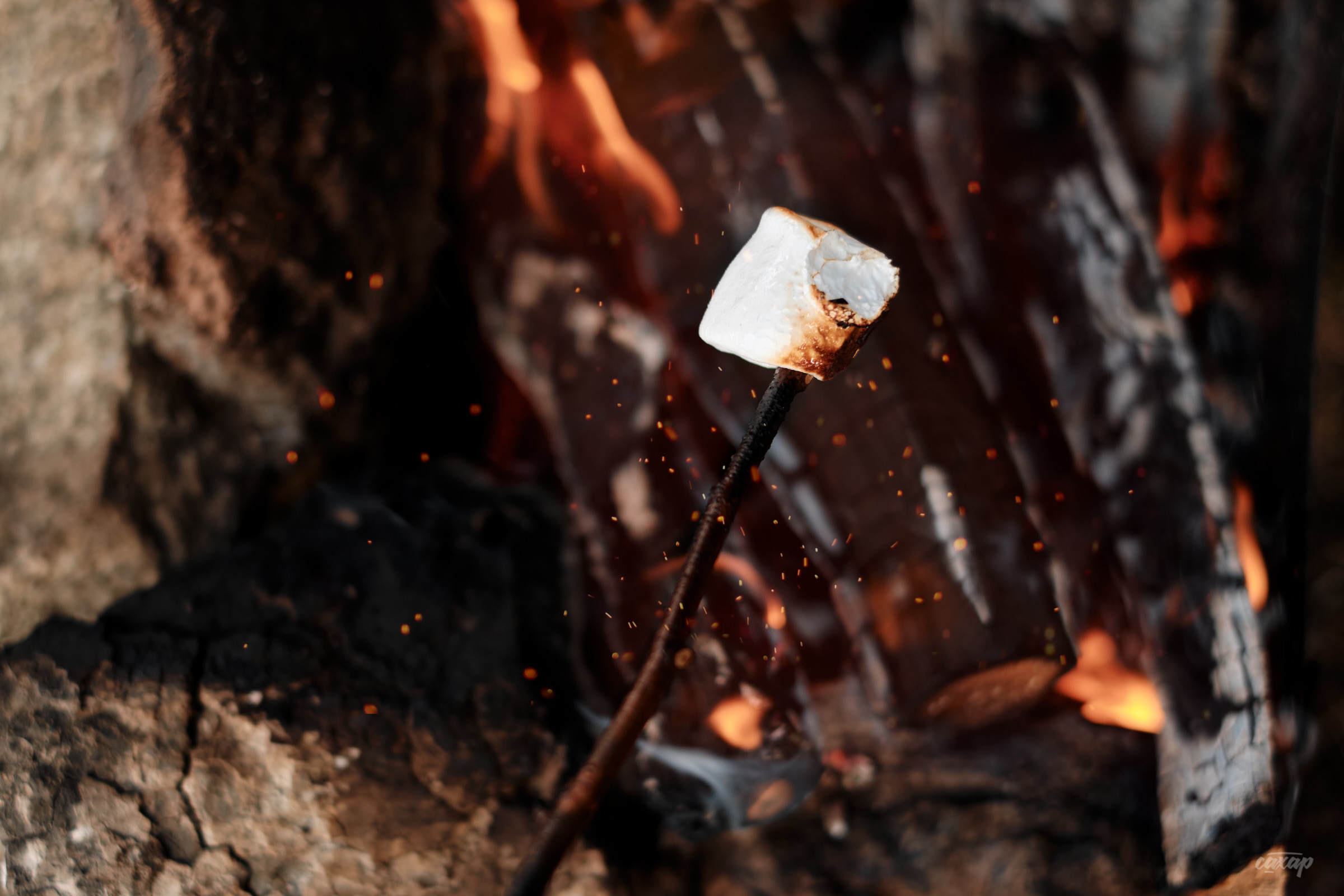 семейный фотограф, фотограф семьи, семейный фотограф юра сахар, фотограф семьи юра сахар, фотограф юра сахар, юра сахар, фотограф сахар, фотограф в екатеринбурге, фотограф екатеринбург, фотограф в екб, фотограф в екате, фотограф на фотосессию, фотограф на новогоднюю фотосессию, заказать фотографа на фотосессию семьи, записаться на фотосессию, записаться на новогоднюю фотосессию, семейная фотосессия, семейная фотосессия в студии, семейная фотосессия в студии екатеринбург, семейная фотосессия в студии екб, семейная фотосессия в студии екат, семейные фотосессии с детьми, семейная фотосессия на природе, семейная фотосессия фото, семейная фотосессия в студии с детьми, семейная фотосессия весной, семейная фотосессия екатеринбург, семейная фотосессия екб, семейная фотосессия екат, семейная фотосессия цена, семейная фотосессия недорого, семейная беременная фотосессия, семейная фотосессия на улице, семейная фотосессия летом, семейная фотосессия в джинсах, семейная фотосессия в белом, семейная фотосессия дома, семейная фотосессия на природе весной, новогодняя фотосессия семейная, семейные фотосессии с детьми на природе, семейные фотосессии маленьким, весенняя семейная фотосессия, семейная пара фотосессия, фотосессии семейных пар, семейная фотосессия с маленьким ребенком, семейная фотосессия на природе летом, цена семейной фотосессии в студии, семейная фотосессия в саду, семейная фотосессия год, пасхальная фотосессия семейная, семейная фотосессия в парке, семейная фотосессия на годик, фотосессия семьи, фотосессия семьи в екатеринбурге, екатеринбург в екб, подарочный сертификат, купить подарочный сертефикат, подарочный сертификат на семейную фотосессию, подарочный сертификат на фотосессию семьи, купить подарочный сертификат на семейную фотосессию, купить подарочный сертификат на фотосессию семьи, фотосессия семьи, фотосессия семья дети, фотосессия с семьей в студии, фотосессия семьи на природе, образы для фотосессии для семьи, фотосессия беременной с семьей, фотосессия большой семьи, фотосессии весной семьей, фотосессия семьи на улице, фотосессия семьи екатеринбург, фотосессия семьи цена, фотосессия семья лето, идеи фотосессии семьи на природе, фотосессии семьи с ребенком в студии, фотосессия семьи дома, весенняя фотосессия семьи, фотосессия семья в джинсах, фотосессия для семьи спб, фотосессия семья в белом, день семьи фотосессия, фотосессия пикник семья, футболки для фотосессии для всей семьи, красивая фотосессия семьи, фотосессия весной на улице семьей, фотосессия семьей, фотосессия многодетной семьи, фотосессия семьи с маленьким, фотосессия семьи с маленьким ребенком, летняя фотосессия семьи, домашняя фотосессия семьи, фотосессия екб в студии для семьи, новогодние фотосессия семья, фотосессия большой семьи в студии, семейная фотосессия большая семья, фотосессия семьи в парке, семейная фотосессия на природе весной, семейные фотосессии с детьми на природе, семейная фотосессия на природе летом, фотосессии семейные на природе, семейная фотосессия на природе с детьми летом, семейная фотосессия весной на природе с детьми, весенние фотосессии на природе семейные, идеи семейных фотосессий на природе летом, образы для семейной фотосессии на природе, летняя семейная фотосессия на природе, семейная фотосессия с собакой на природе, семейная фотосессия дома, семейная фотосессия в загородном доме, семейная фотосессия дома на даче, семейная фотосессия с детьми дома, пасхальная фотосессия семейная дома, семейная фотосессия дома с малышом, фотосессия семейная с маленьким ребенком дома, фотосессия пикник, фотосессия пикник на природе, семейная фотосессия пикник, семейная фотосессия с палаткой, фотосессия пикник семья, фотосессия пикник с ребенком, фотосессия на пикнике, фотосессия в стиле пикник, фотосессия пикник на природе весной, фотосессия пикник на природе семьей, фотосессия пикник на природе с ребенком, пикник осенняя фотосессия фотосессия, фотосессия пикник в лесу, фотосессия пикник на природе екатеринбург, фотосессия пикник на природе екб, стоимость семейной фотосессии, стоимость семейной фотосессии в екатеринбурге, сколько стоит семейная фотосессия, сколько стоит семейная фотосессия в екатеринбурге, записаться на семейную фотосессию, записаться на семейную фотосессию в екатеринбурге, записаться на фотосессию семьи в екатеринбурге, записаться на фотосессию семьи, Новогодняя фотосессия, новогодняя фотосессия в екатеринбурге, новогодняя фотосессия в екб, новогодняя фотосессия, новогодние фотосессии в студии, новогодние фотосессии в студии екатеринбург, новогодняя фотосессия семейная, детская новогодняя фотосессия, фотосессия новогодние идеи, новогодняя фотосессия беременной, новогодняя фотосессия детский сад, новогодняя фотосессия с ребенком, новогодняя фотосессия, семейная фотосессия в новогодней студии, новогодние фотосессии цены, новогодние фотосессия семья, новогодняя фотосессия дома, новогодние фотосессии малышей, новогодние фотосессии в студии дети, новогодние парные фотосессии, новогодняя фотосессия парная, новогодняя фотосессия с собакой, семейная новогодняя фотосессия с детьми, новогодняя фотосессия белая, новогодняя фотосессия с малышом в студии, новогодняя фотосессия в свитерах, однажды в екатеринбурге фотосессия новогодняя, новогодняя фотосессия в красном, новогодние фотосессии 2022, новогодние фотосессии 2023, новогодние фотосессии 2024, новогодние фотосессии 2025, новогодние фотосессии 2026, новогодняя фотосессия 2022, новогодняя фотосессия 2023, новогодняя фотосессия 2024, новогодняя фотосессия 2025, новогодняя фотосессия 2026, семейная новогодняя фотосессия в студии, новогодняя фотосессия семейная, фотограф на новогоднюю фотосессию, стоимость новогодней фотосессии, новогоднее фотосессия на улице, новогодняя фотосессия в джинсах, новогодняя фотосессия семейная, семейная фотосессия в новогодней студии, семейная новогодняя фотосессия с детьми, подарочный сертификат семейная фотосессия, купить подарочный сертификат на семейную фотосессию, подарочный сертификат на новогоднюю фотосессию, фотосессия крещение, фотосессия крещения, фотограф на крещение, фотосессия в ожидании чуда, Беременная фотосессия, фотосессия беременной,