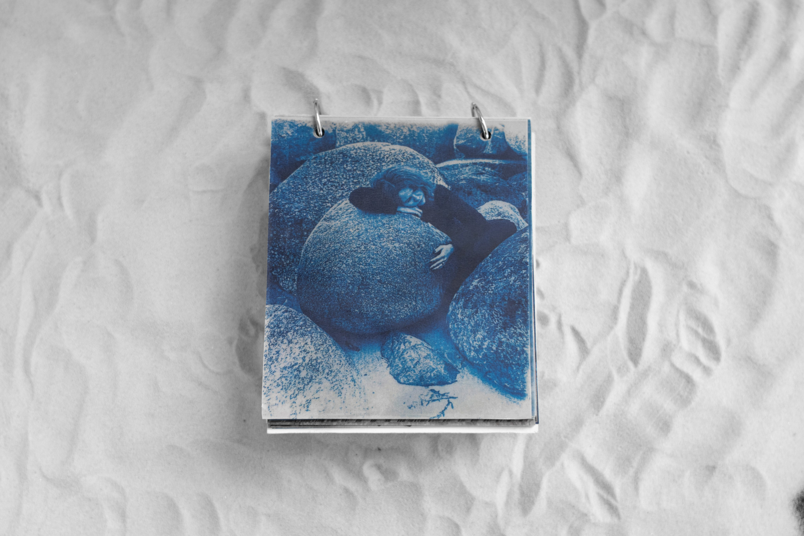 Укрытие. Катрин Эдельвак