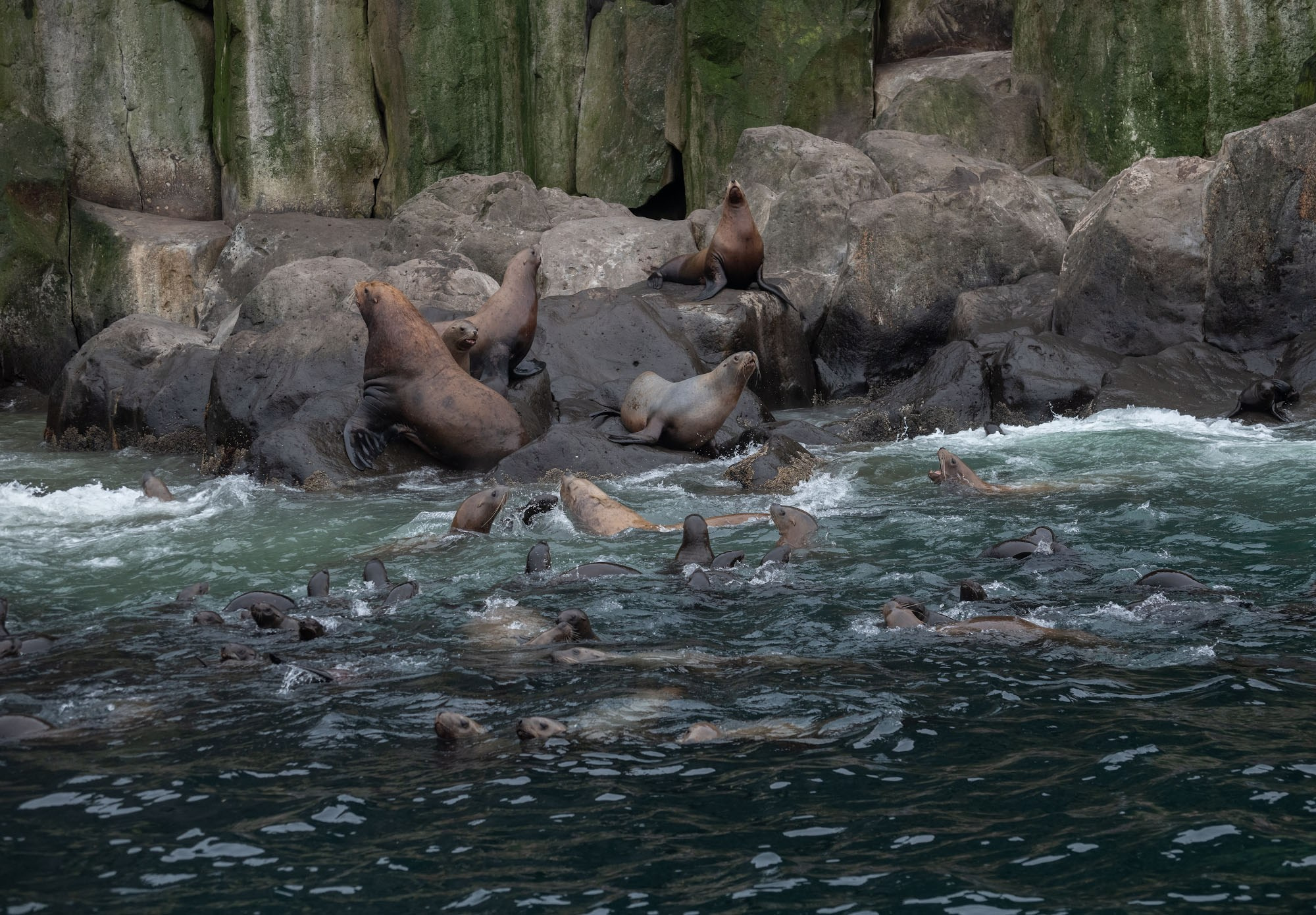 Фотоэкспедиция по Шантарам, к острову Ионы и полуострову Кони