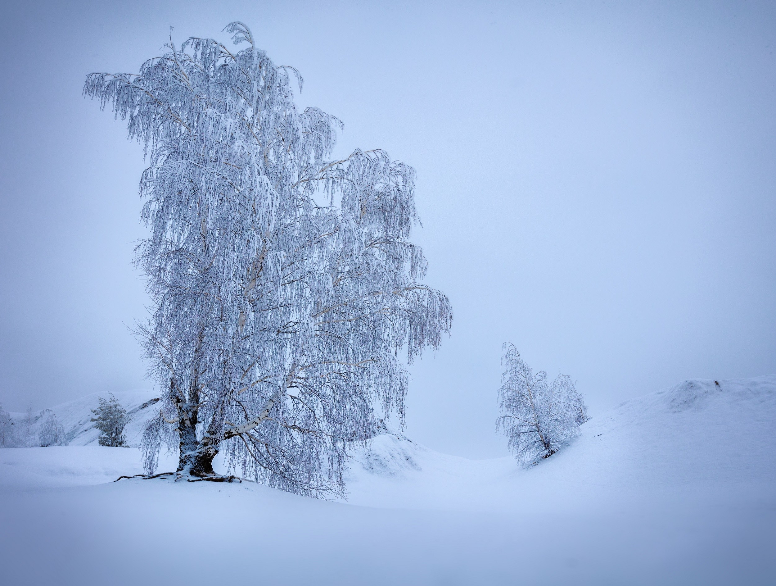 Зимние Кондуки. Пейзажная и архитектурная фотография в Туле, Татьяна Silva