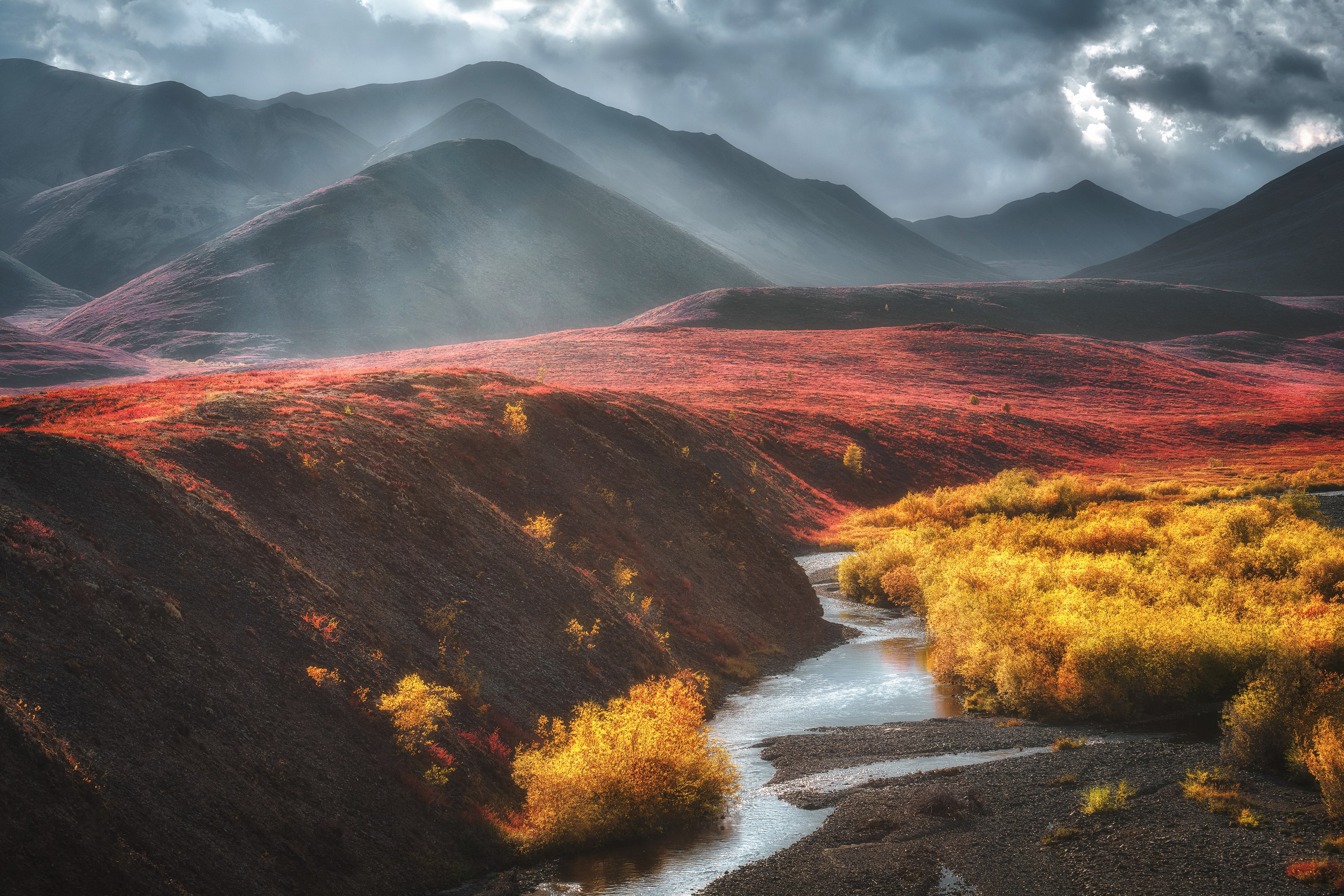 Фототуры по России с Наталией Поляковой
