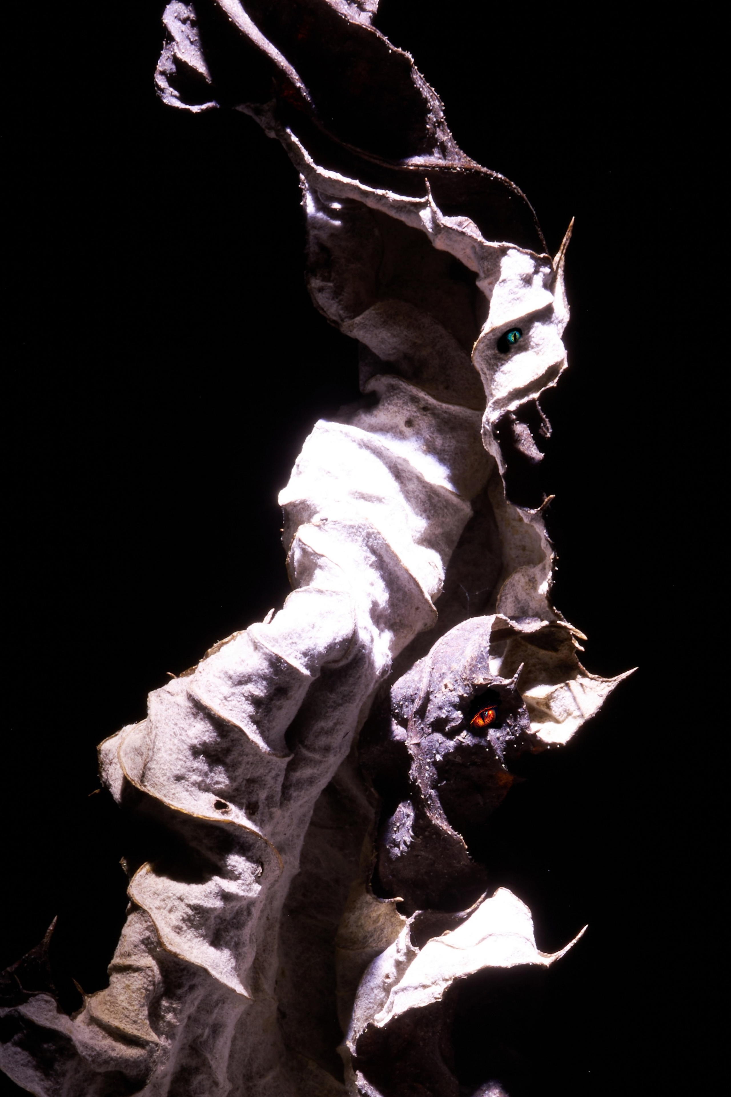 «Тебе кажется…?». Арт-фотограф во Владивостоке Дмитрий Осипчук