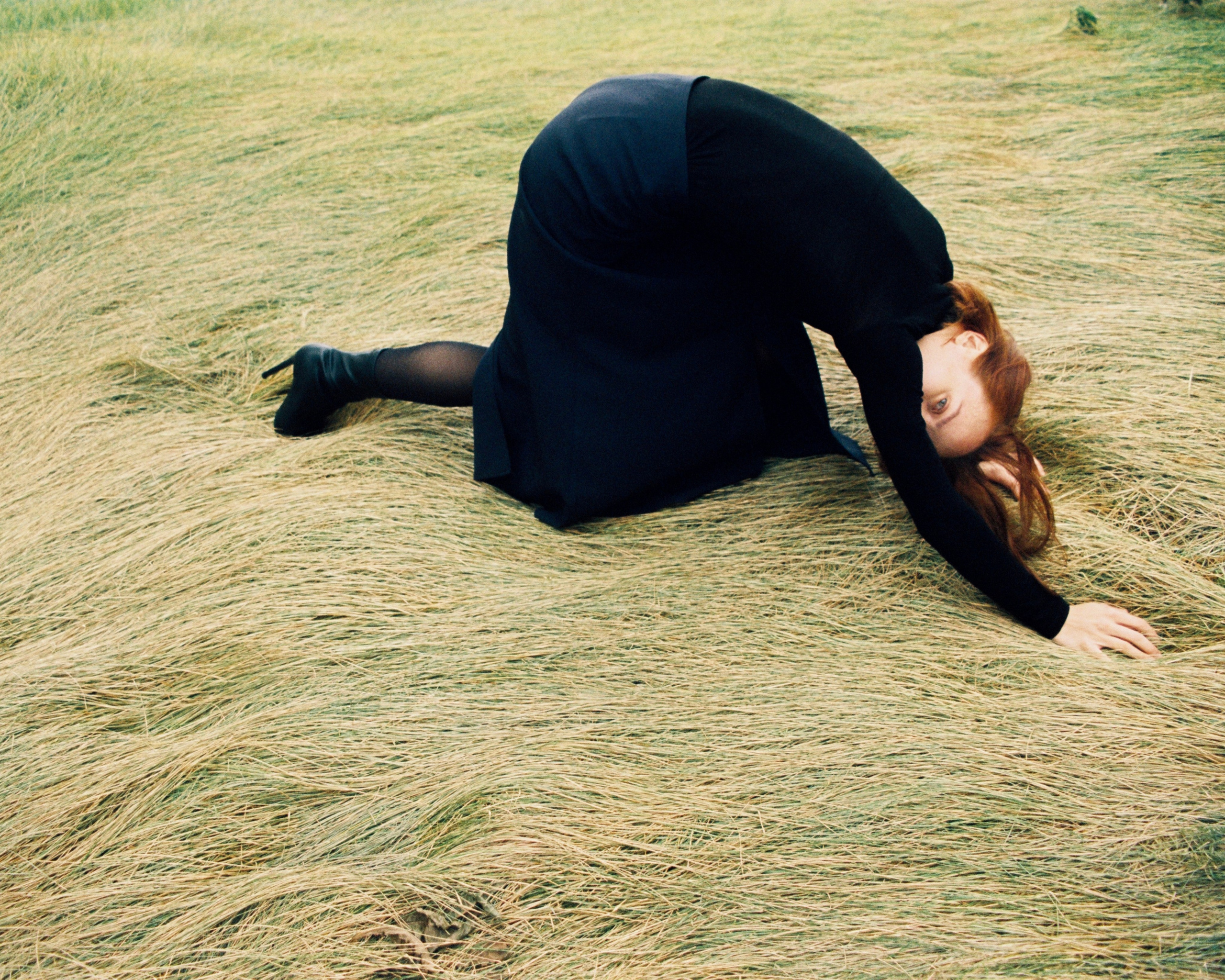 Док портрет