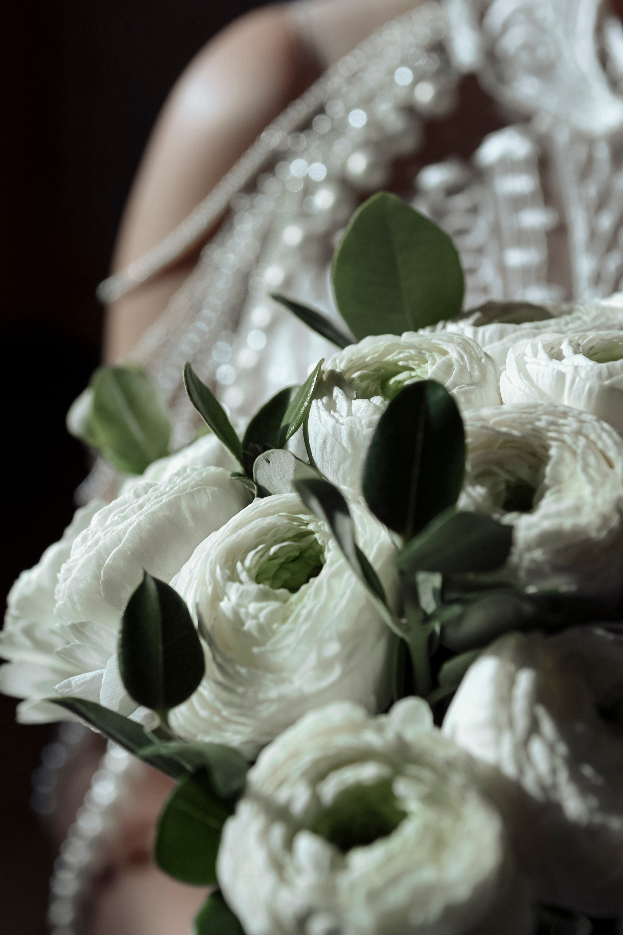 Фотограф — Данилов Михаил. Бизнес и контент фотограф — Михаил Данилов | Москва, Видное, Домодедово