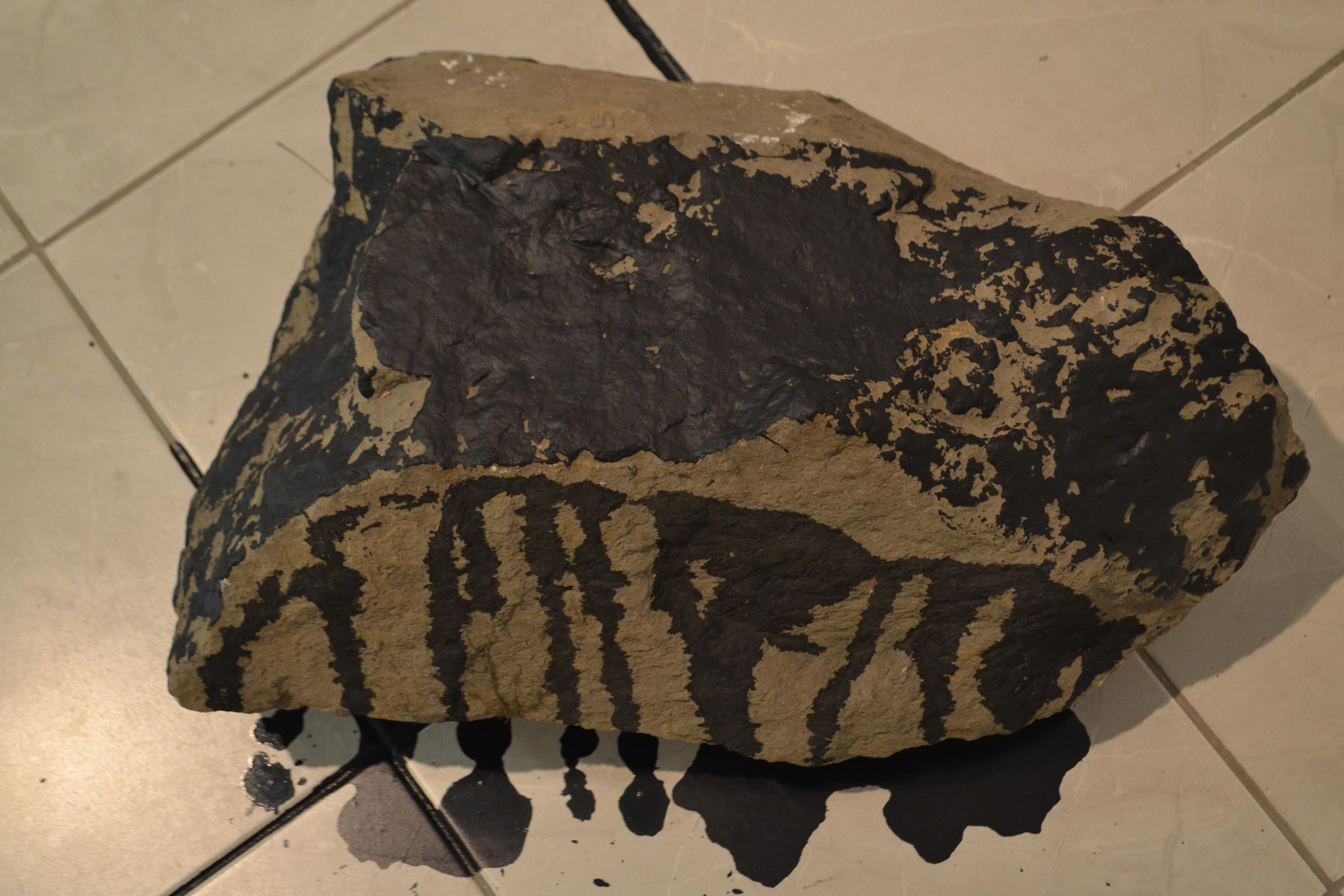 Проект Petra scandali. Художник Ольга Гражданкина