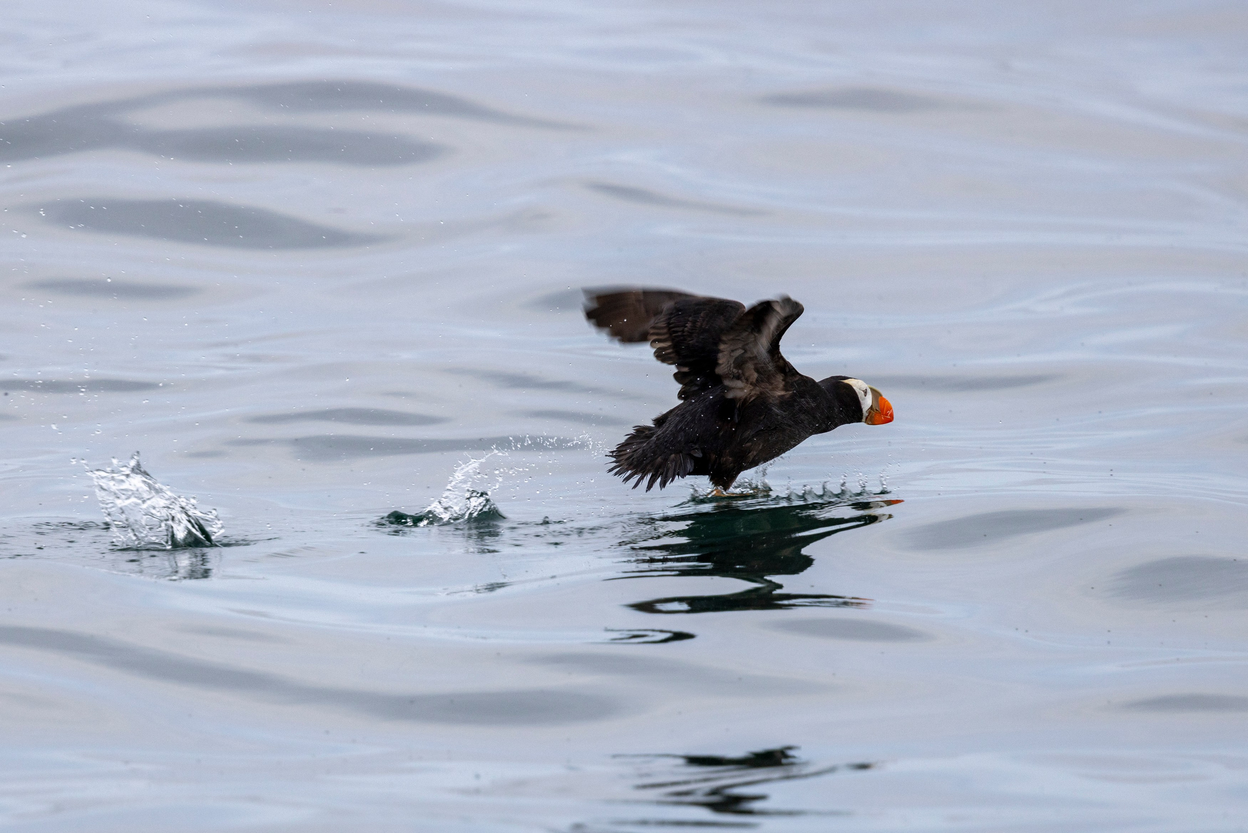 Время Камчатки — кто мы и почему влюблены в полуостров. Время Камчатки: чтобы найти свой путь, нужно скорость умножить на время