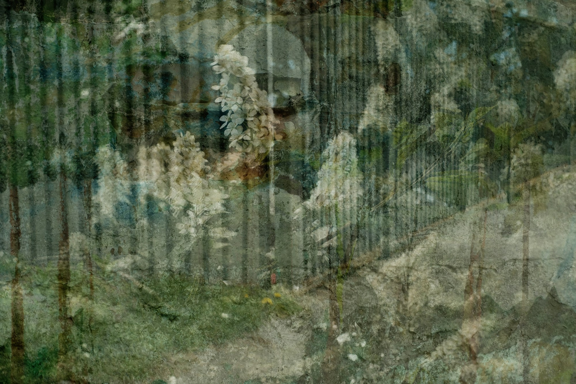 What Happened?. Margarita Rodionova — a contemporary lens-based artist currently working in Cancun, Mexico