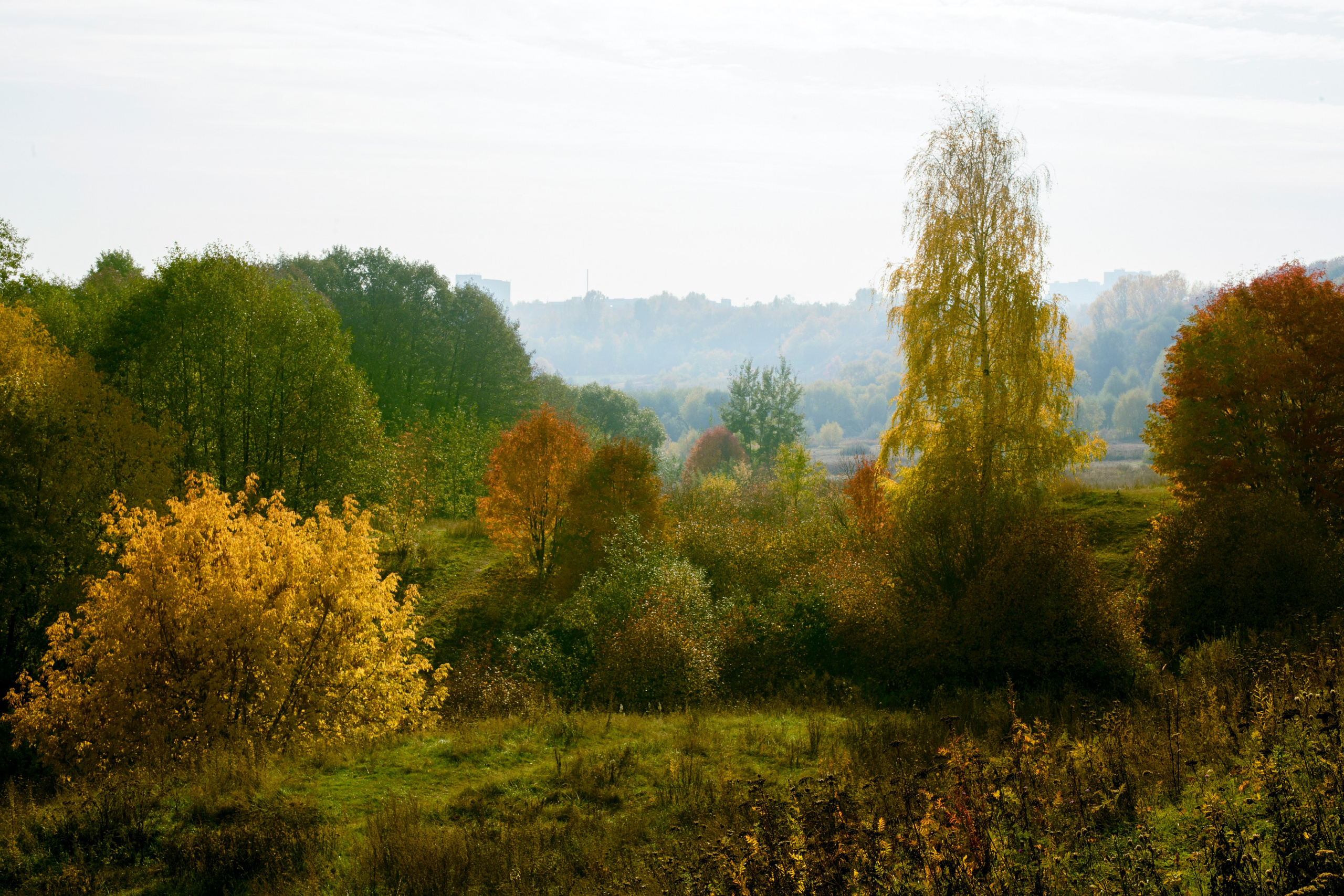 Осень. Свадьбы, портретная, предметная съемка. Фотограф Александр К